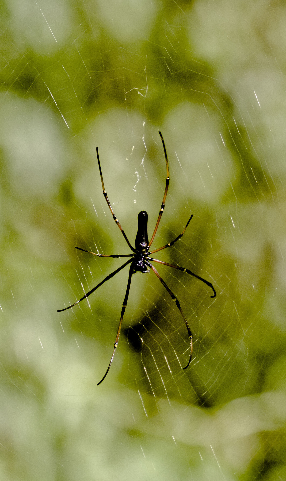 Canon EOS 60D sample photo. Mg photography
