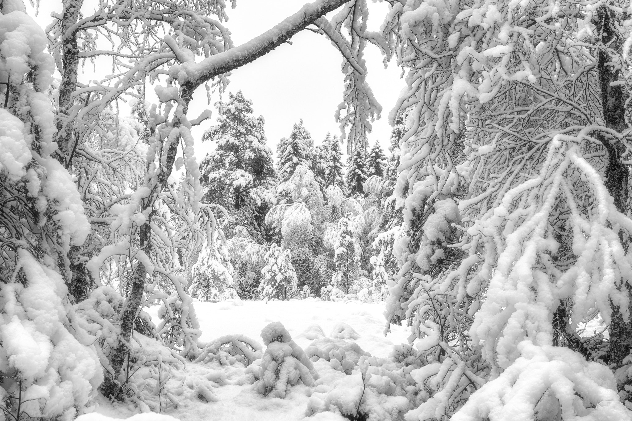 Sigma 24-70mm F2.8 EX DG HSM sample photo. Wintergate photography