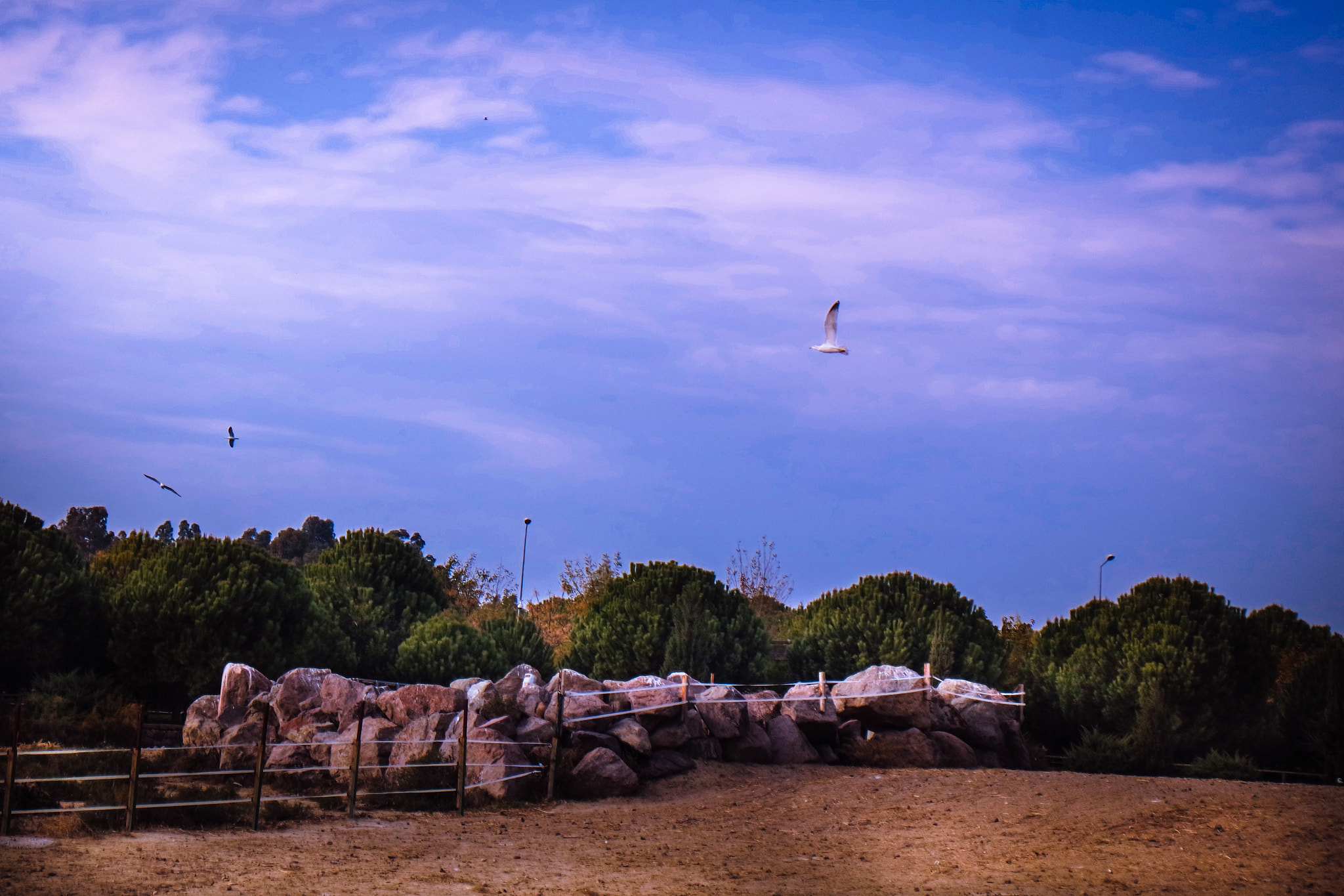 Samsung NX mini sample photo. Freedom photography