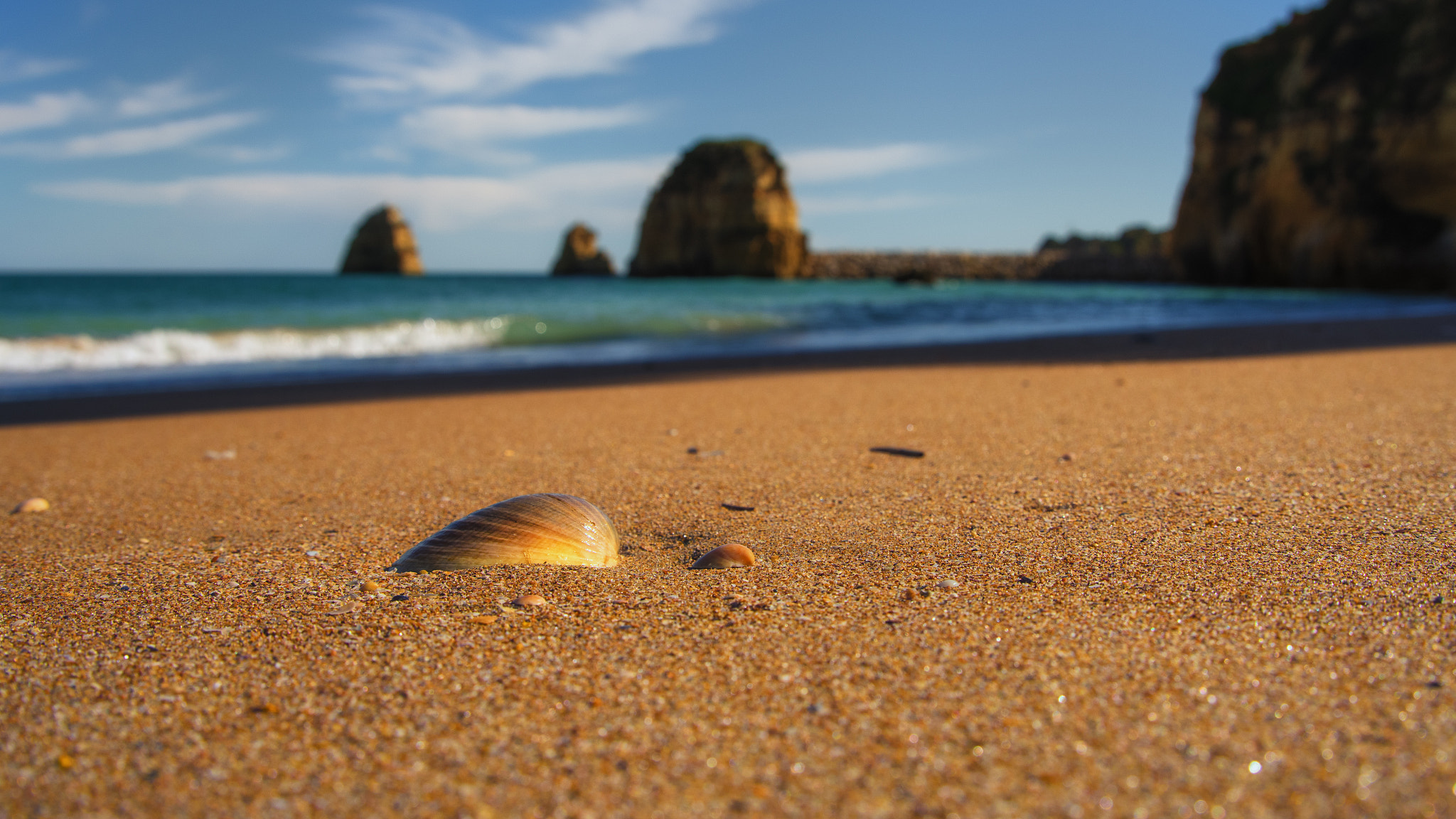 HD PENTAX-D FA 28-105mm F3.5-5.6 ED DC WR sample photo. Shell on the beach photography