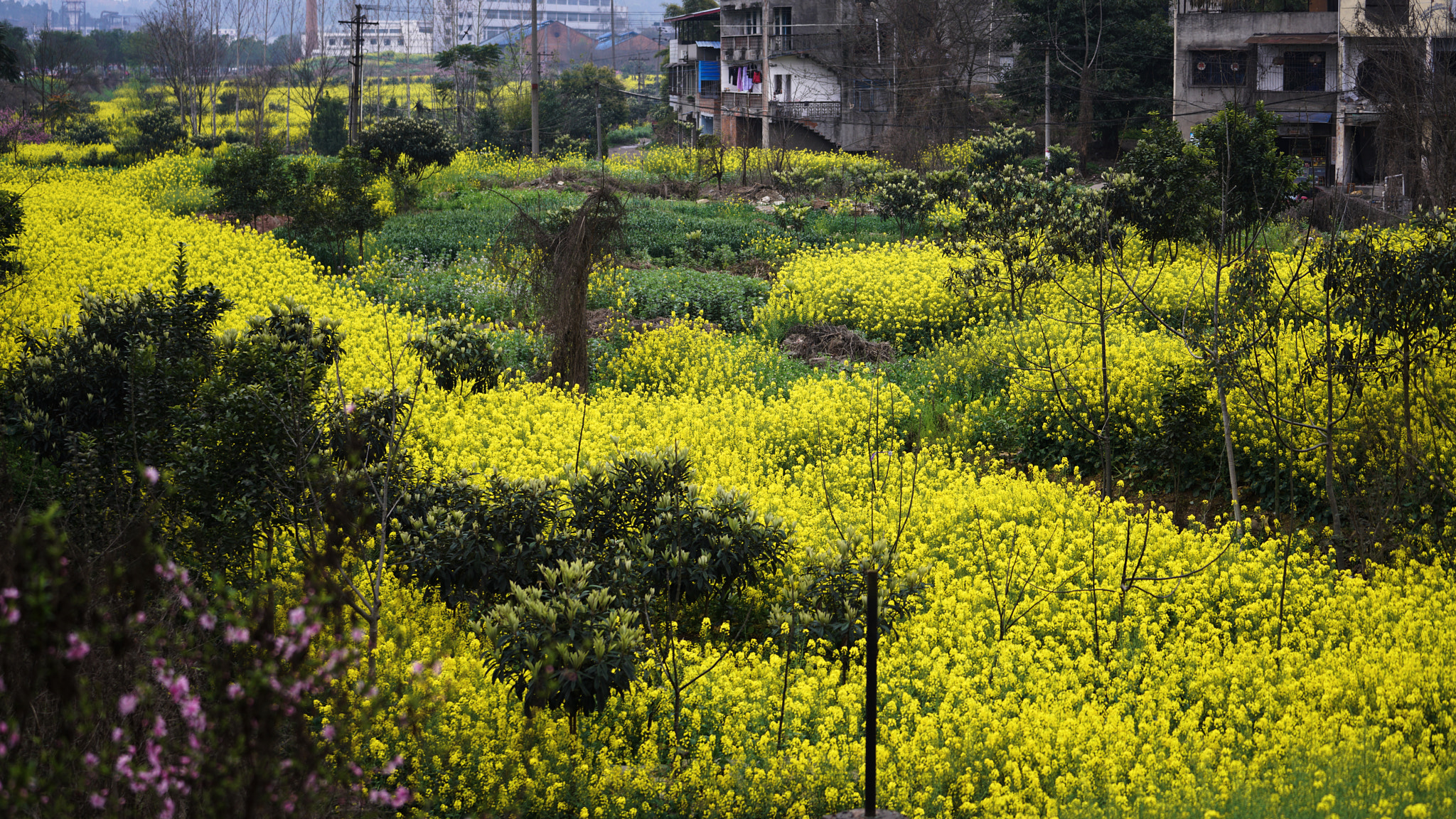 Sony FE 70-200mm F2.8 GM OSS sample photo. Landscape of village 05 photography
