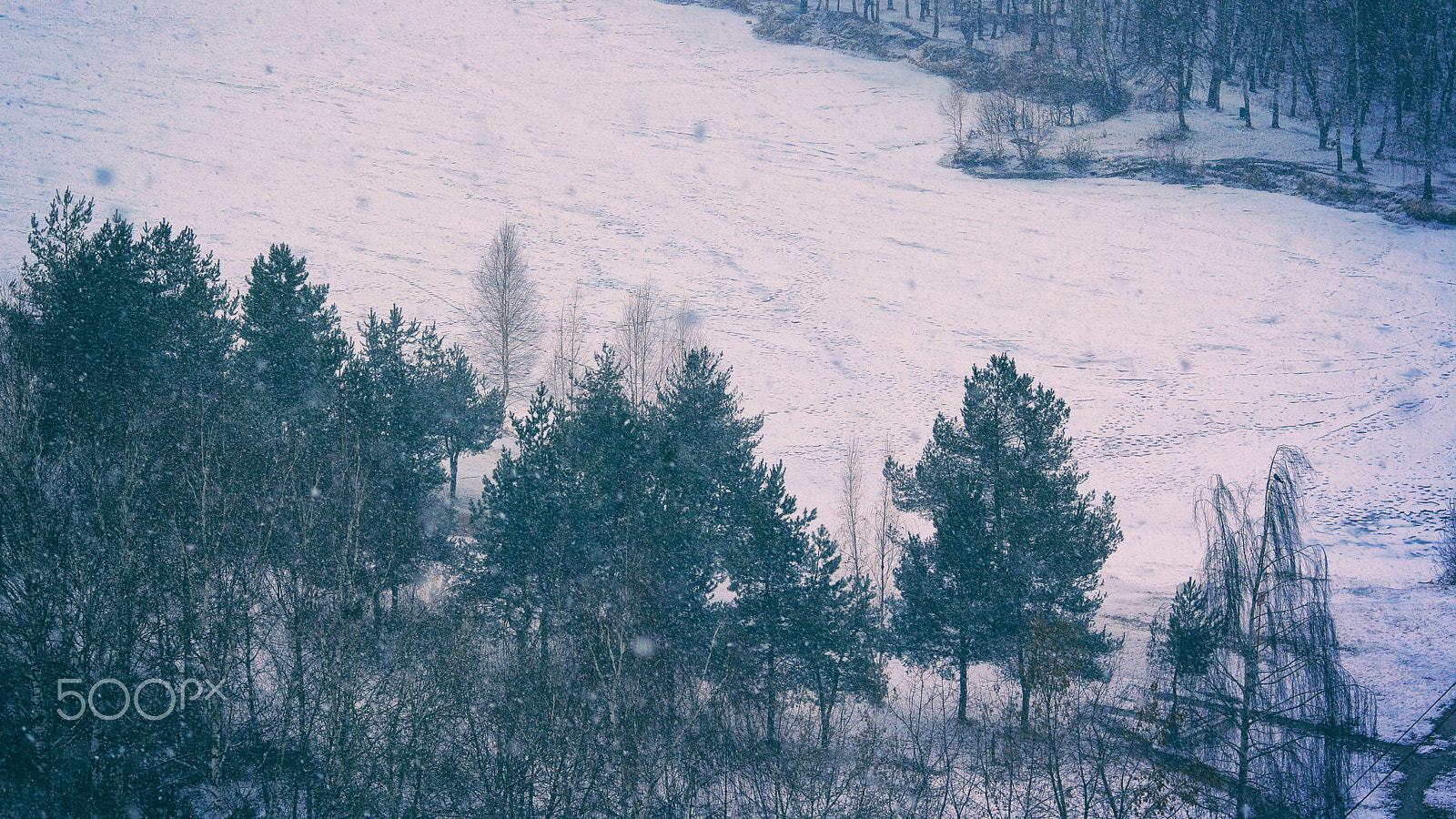 Canon EOS 760D (EOS Rebel T6s / EOS 8000D) + Canon EF 50mm F1.8 STM sample photo. The return of winter photography