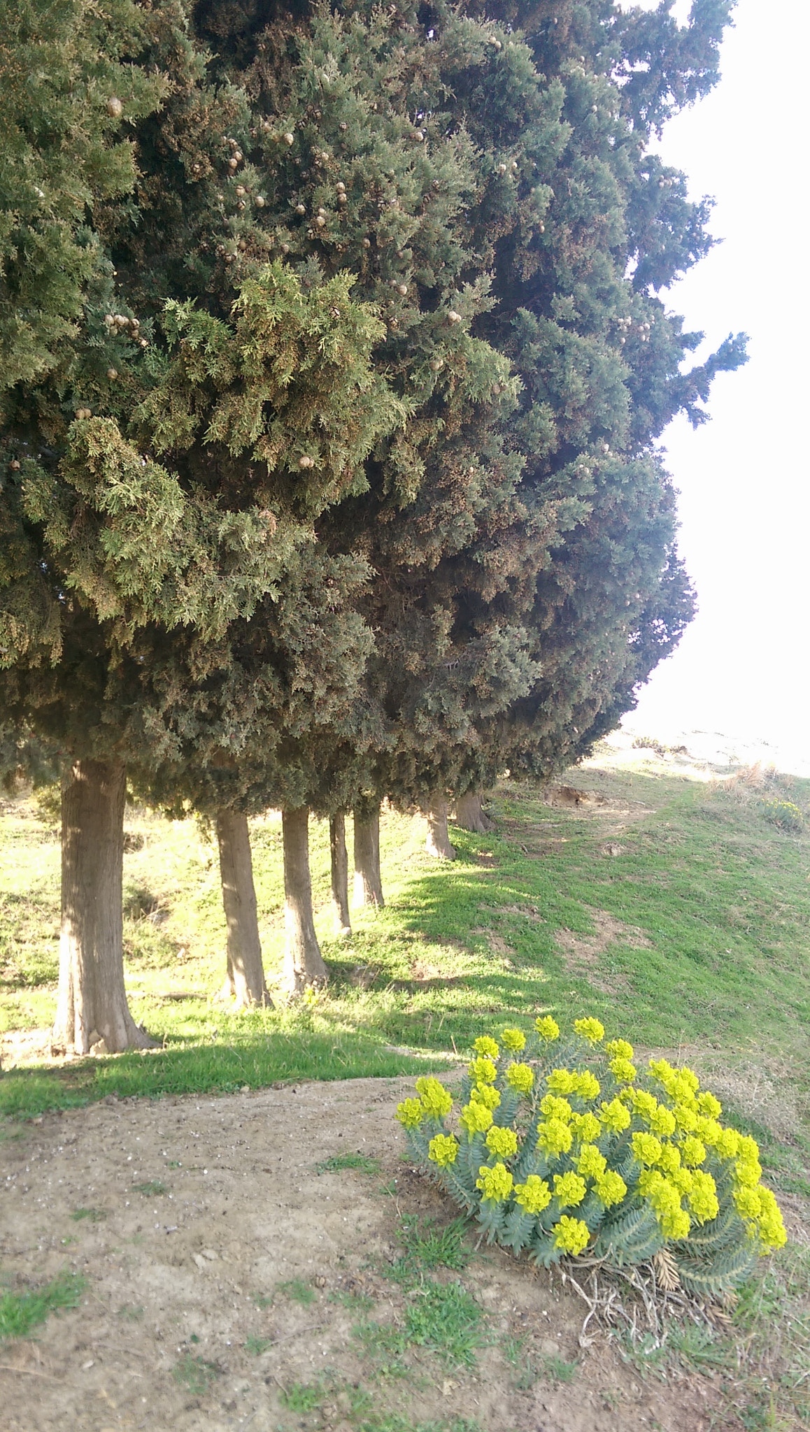 HTC ONE (M8) sample photo