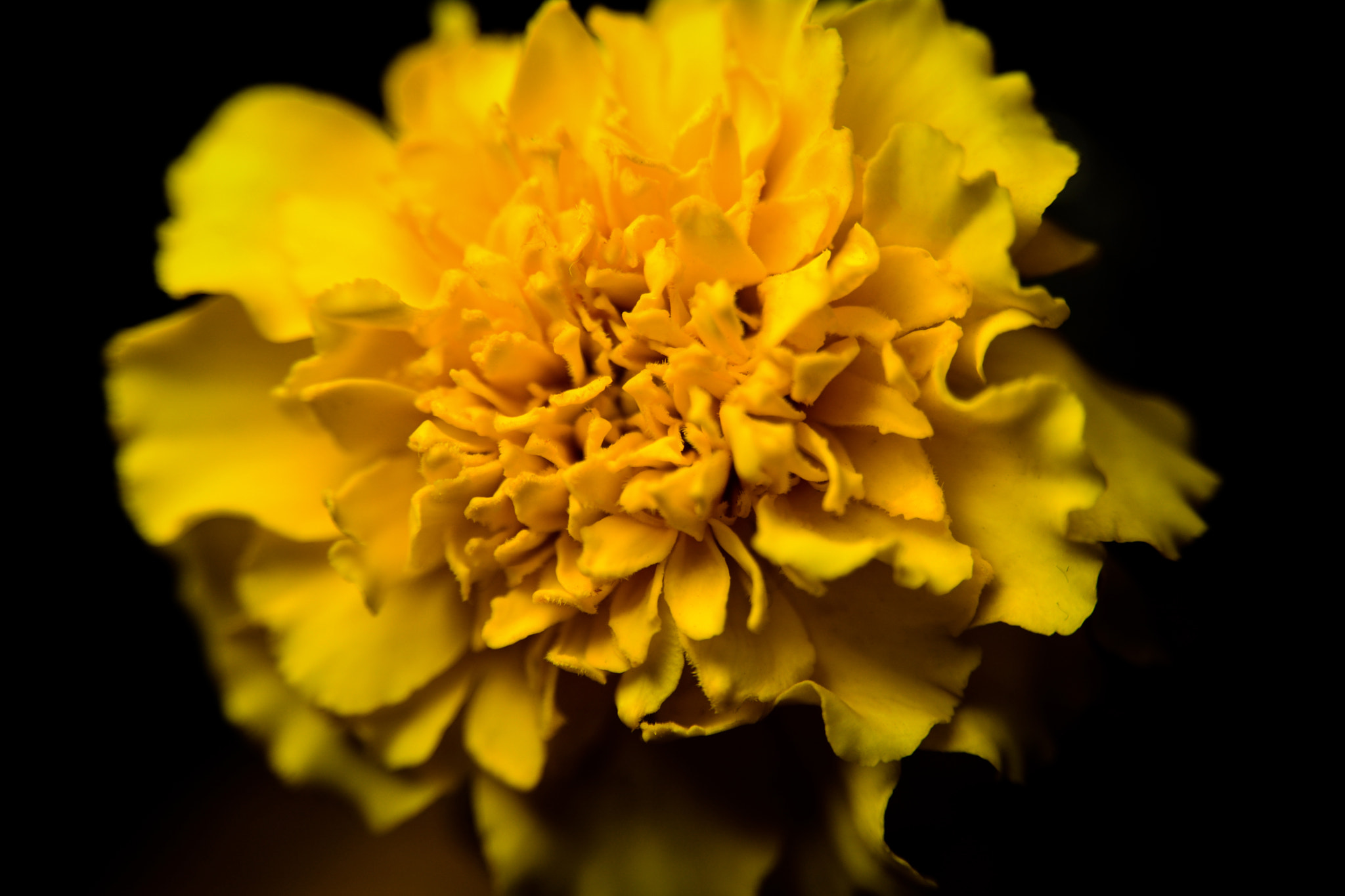 AF Zoom-Nikkor 28-105mm f/3.5-4.5D IF sample photo. 张力之美 photography