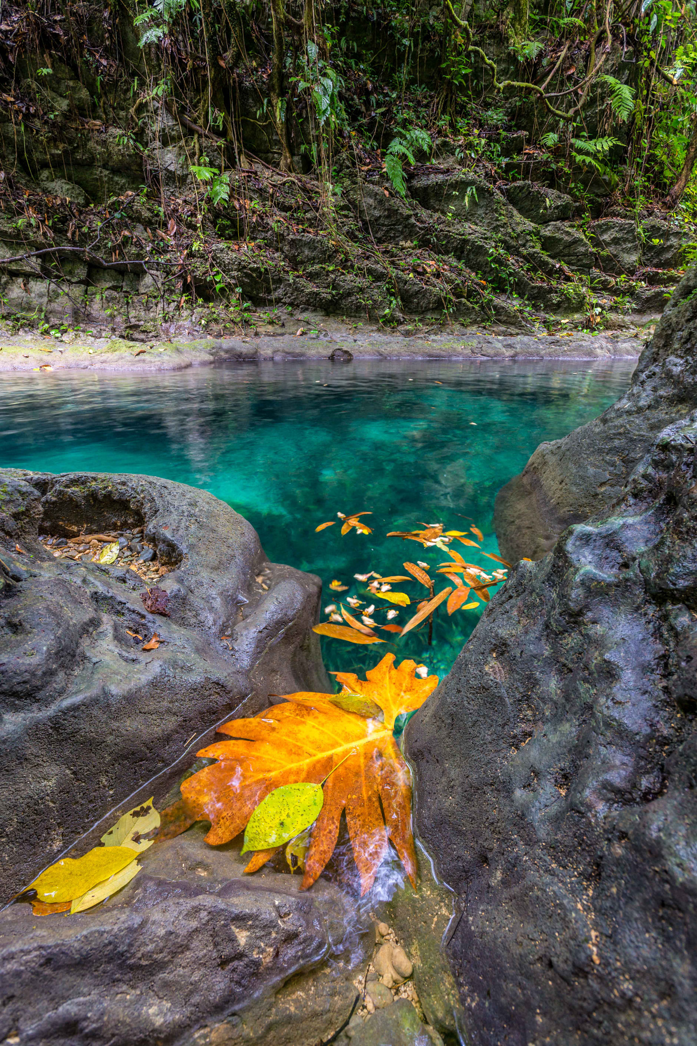 Nikon D610 sample photo. Another shot of along the driver's river, ja. photography