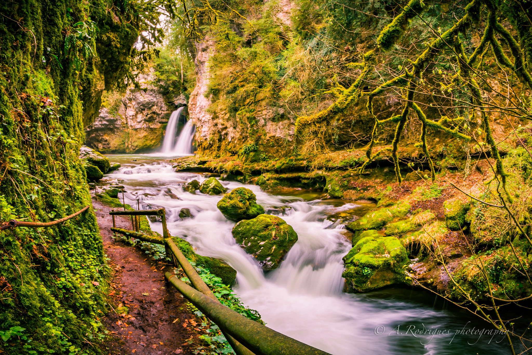 Nikon D7200 + Samyang 8mm F3.5 Aspherical IF MC Fisheye sample photo. Cascata sarraz photography