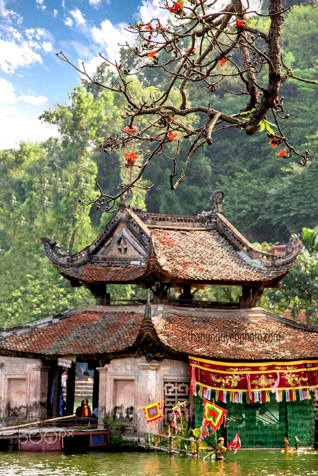 Nikon D810 + Nikon AF-Nikkor 80-200mm F2.8D ED sample photo. Bombax ceiba tree in the water temple at hanoi, vietnam. photography