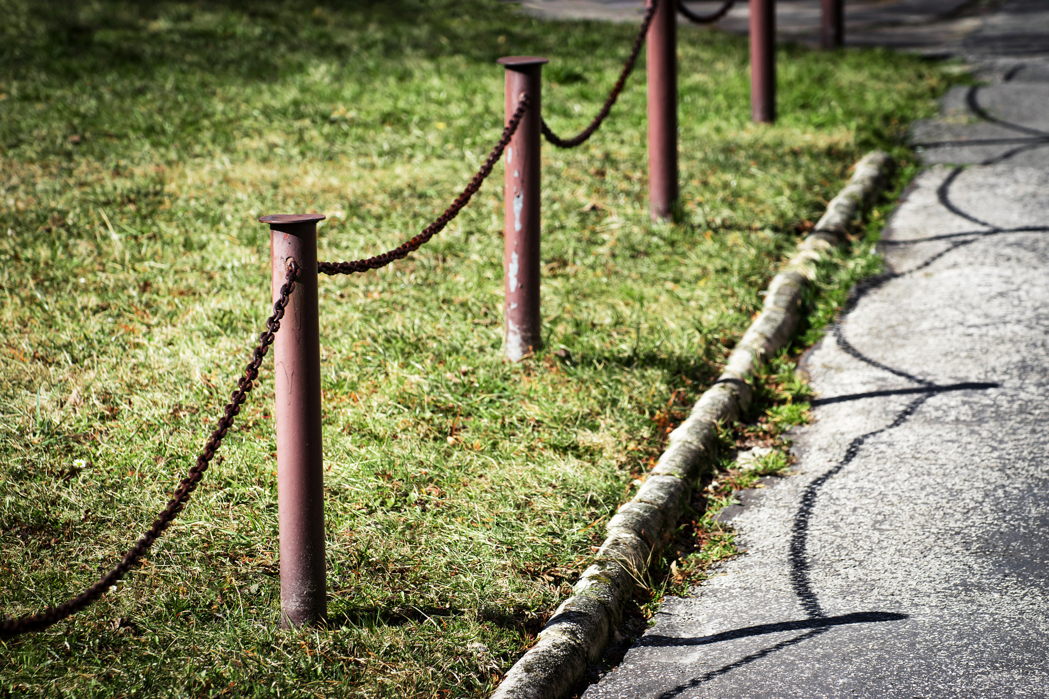 Nikon D5500 sample photo. Low fence chain photography
