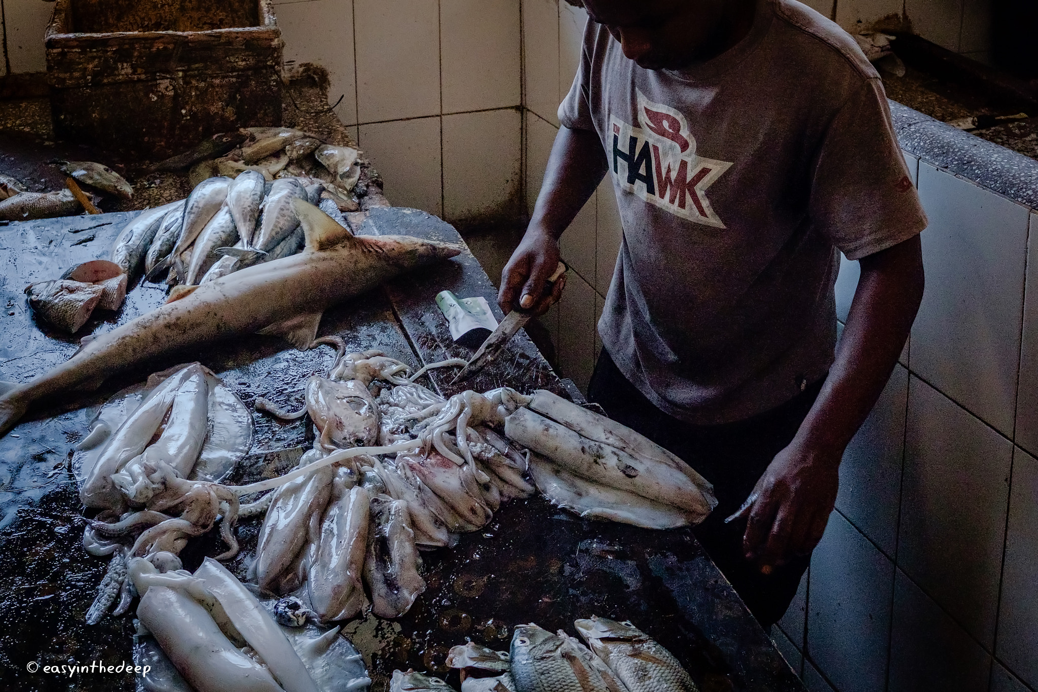 Fujifilm XF 27mm F2.8 sample photo. Prepping produce, stone town fish market. photography