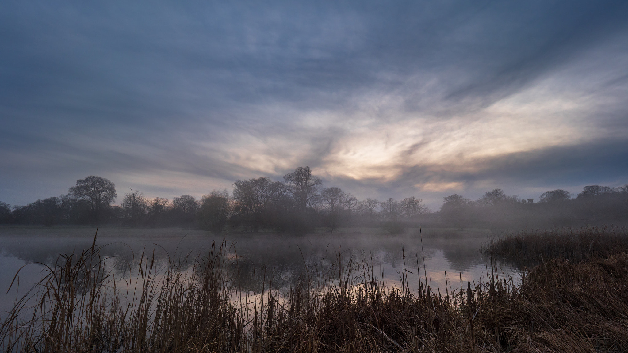 Panasonic Lumix DMC-GX8 + Olympus M.Zuiko Digital ED 7-14mm F2.8 PRO sample photo. Fog over the pond photography