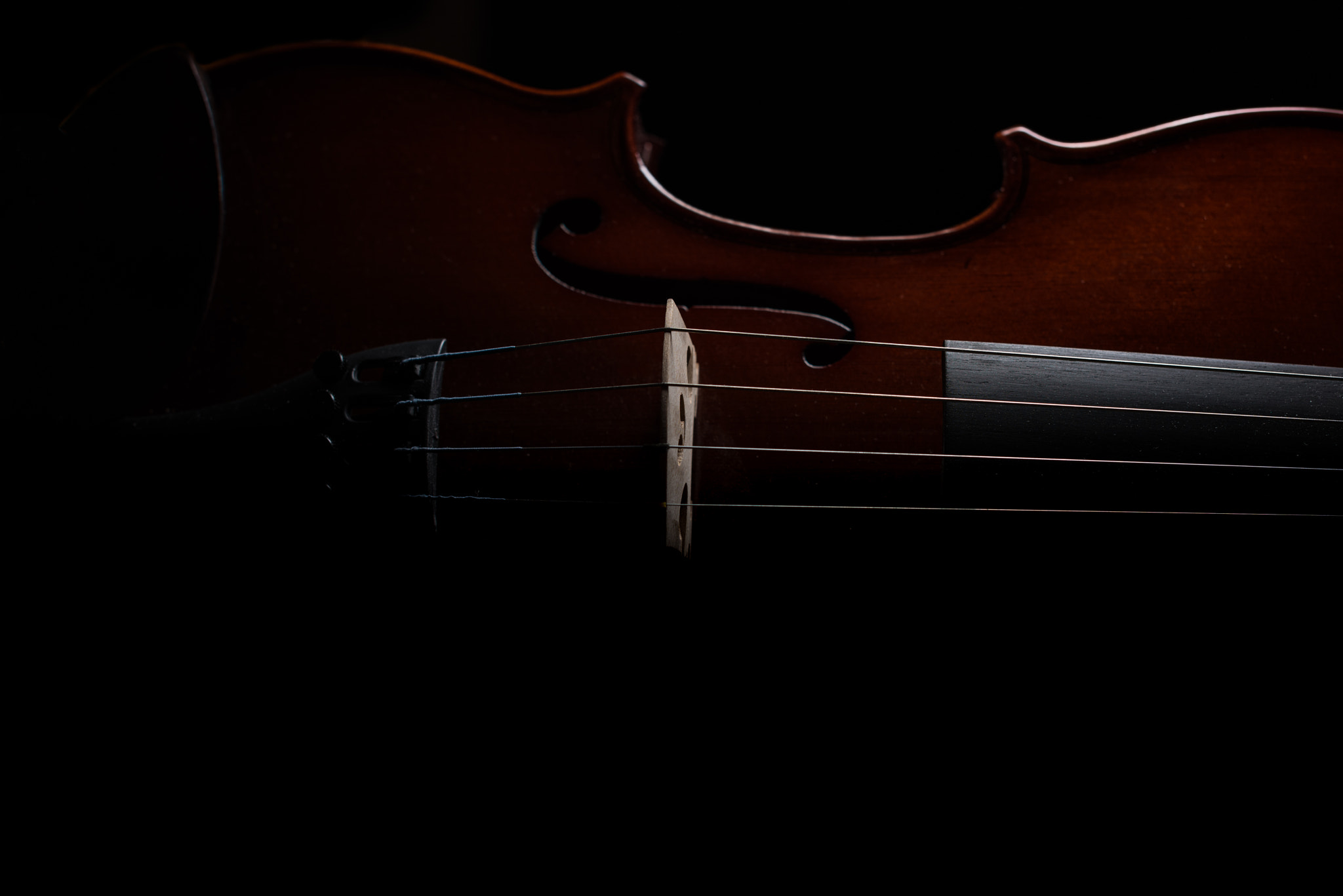 Nikon D810 + Nikon AF-S Nikkor 50mm F1.4G sample photo. Low-key violin photography