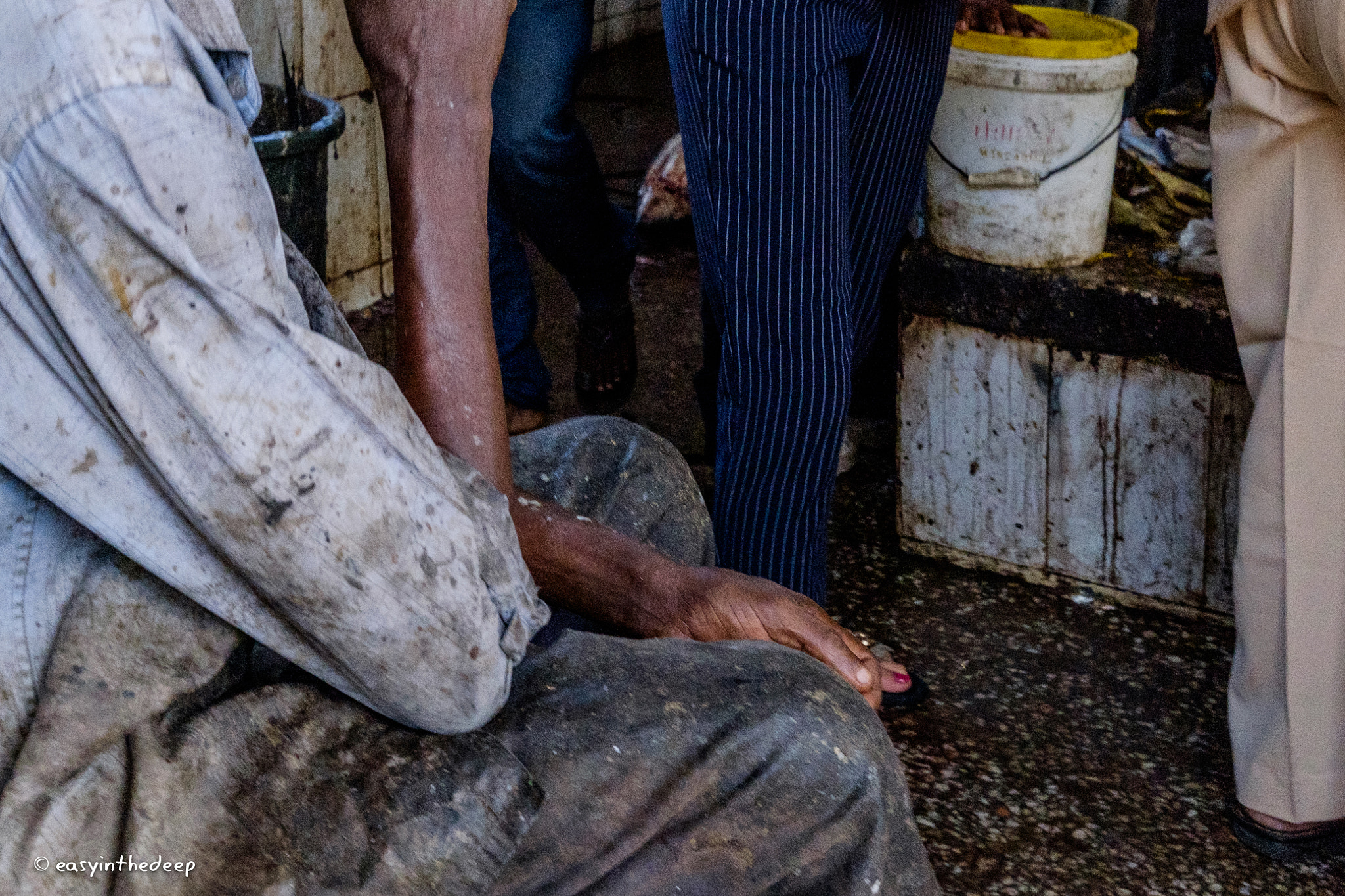 Fujifilm X-T1 + Fujifilm XF 27mm F2.8 sample photo. Exhausted at the stone town fish market. photography