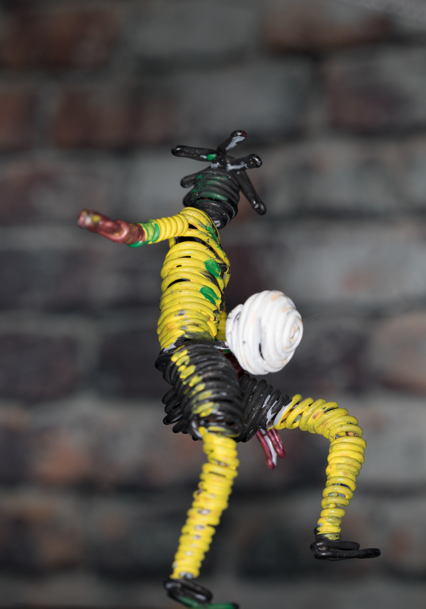 Canon EF 100mm F2.8L Macro IS USM sample photo