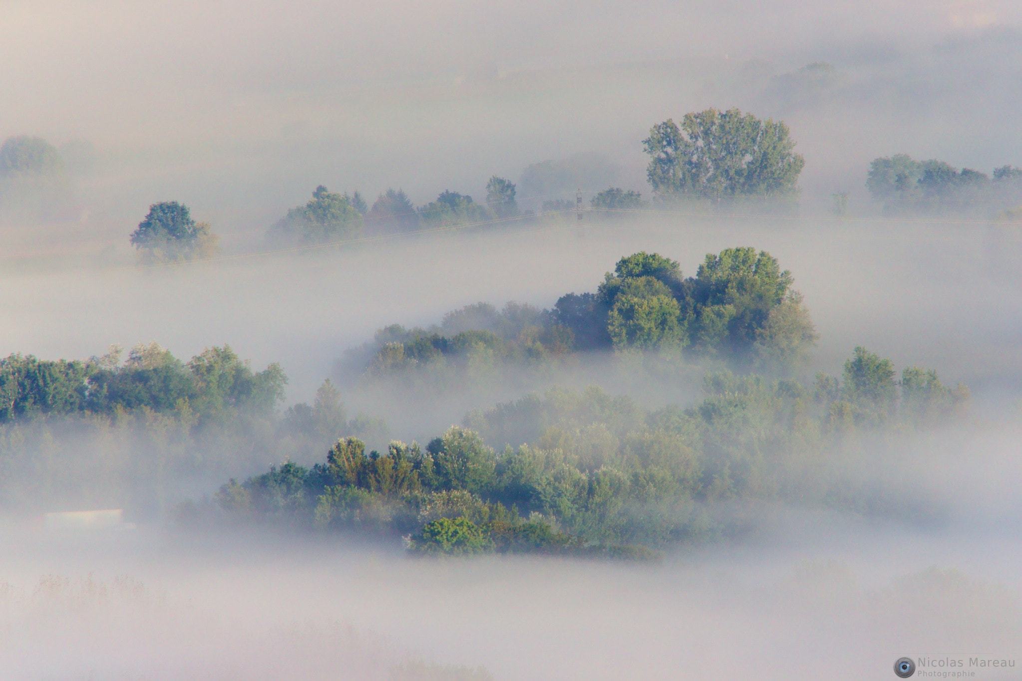 Sigma 18-250mm F3.5-6.3 DC OS HSM sample photo. Brume sur les abres photography