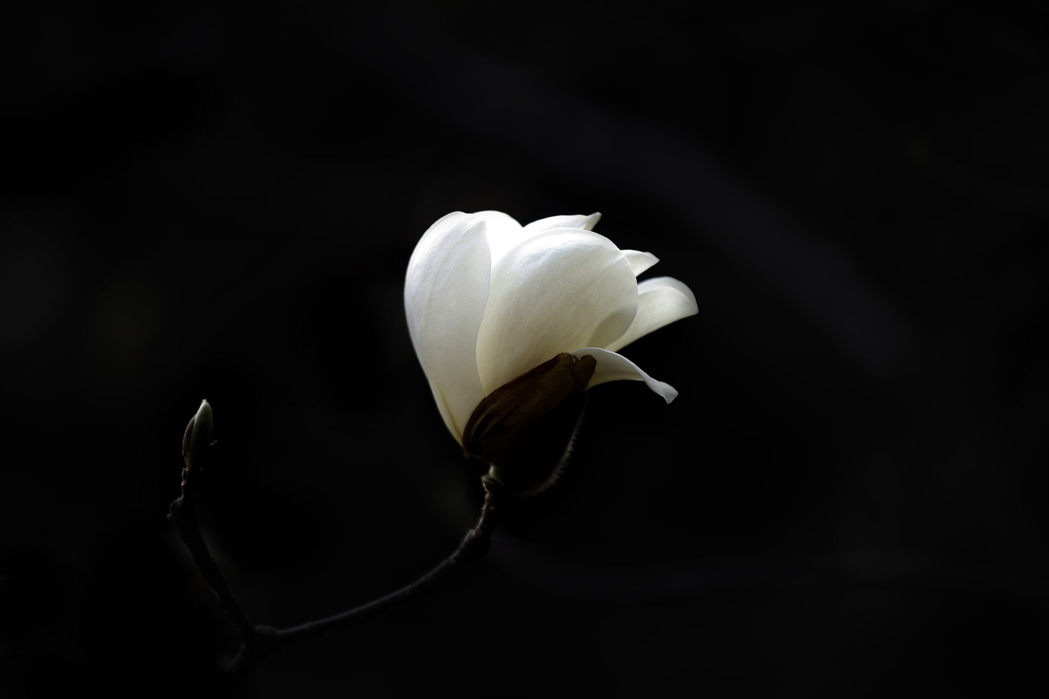 Canon EOS 6D + Canon EF 70-200mm F4L IS USM sample photo