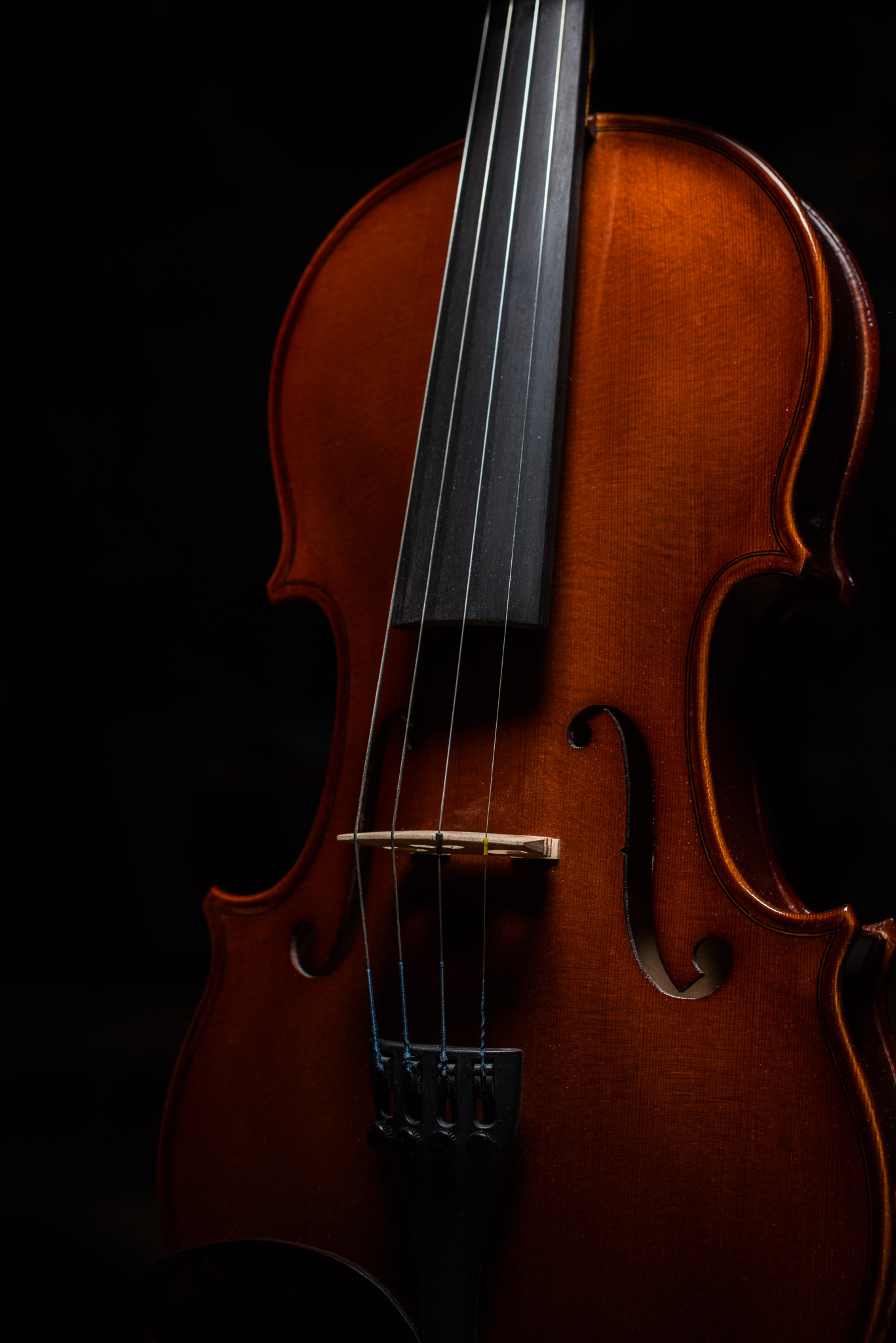Nikon D810 + Nikon AF-S Nikkor 50mm F1.4G sample photo. In the lime-light photography
