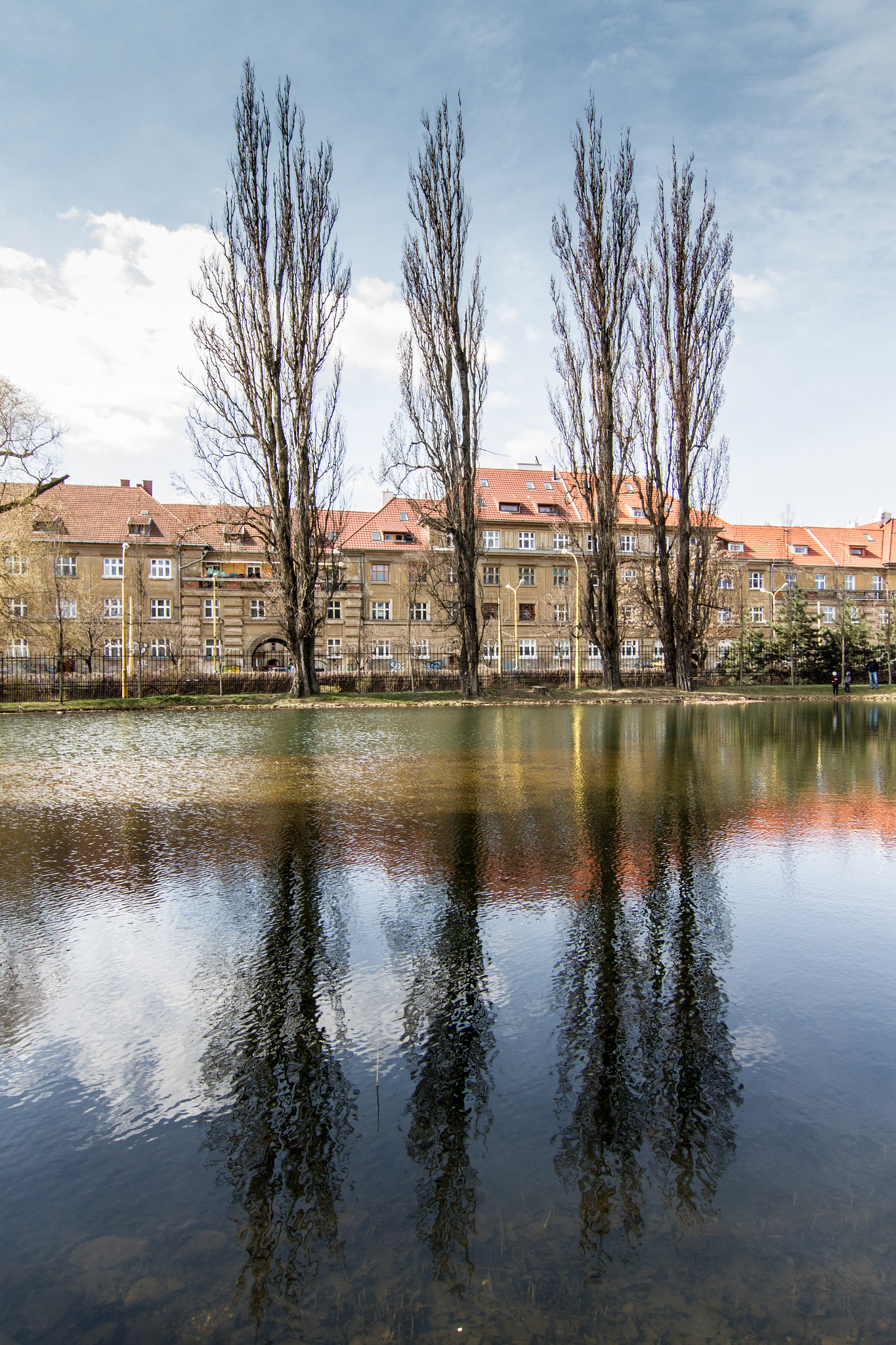 Tokina AT-X Pro 12-24mm F4 (IF) DX sample photo. City park photography