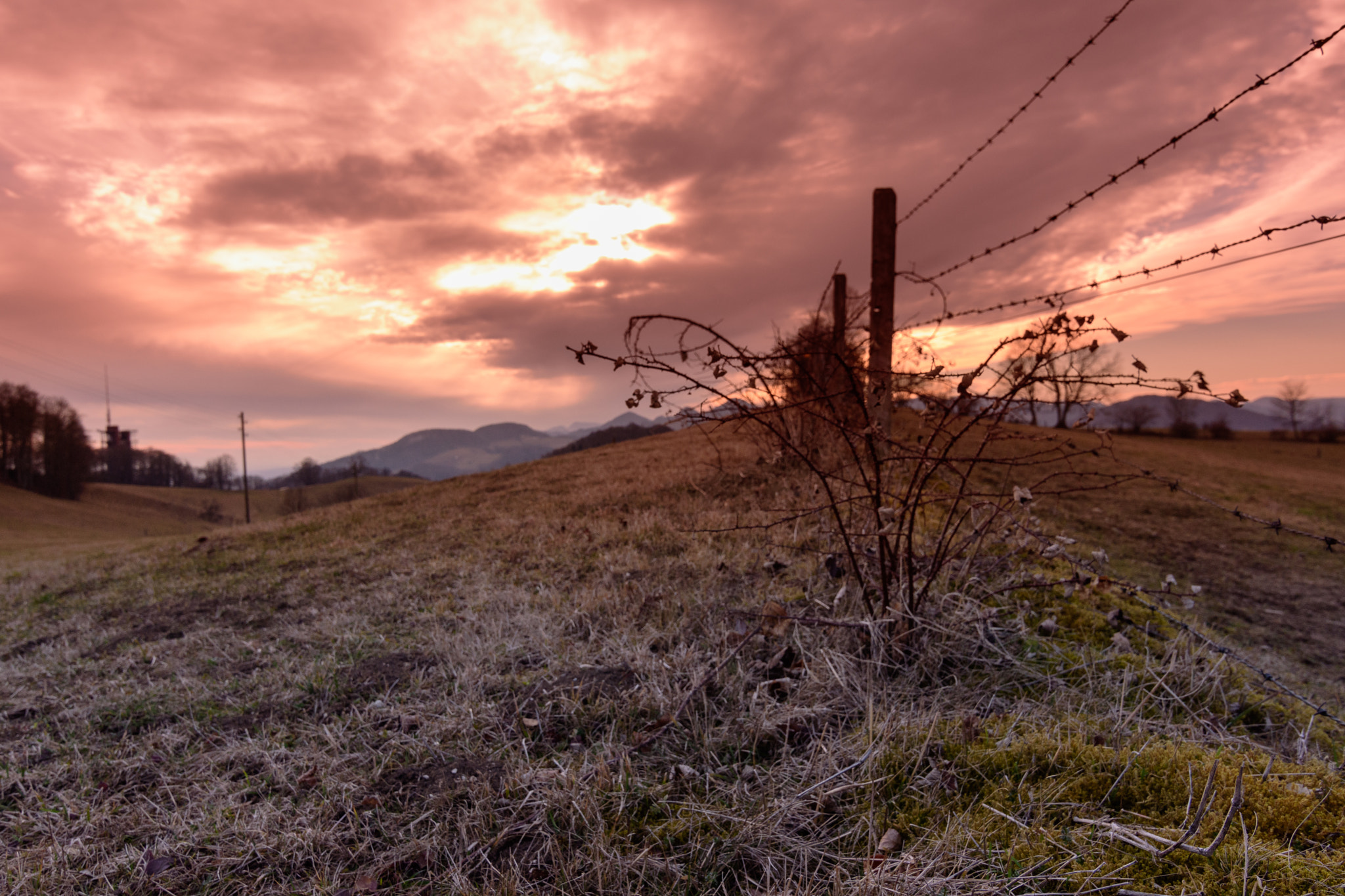 Nikon D7200 sample photo