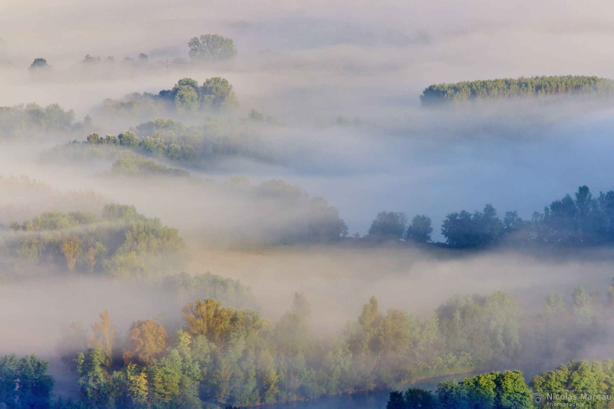 Sigma 18-250mm F3.5-6.3 DC OS HSM sample photo. Brume matinale photography