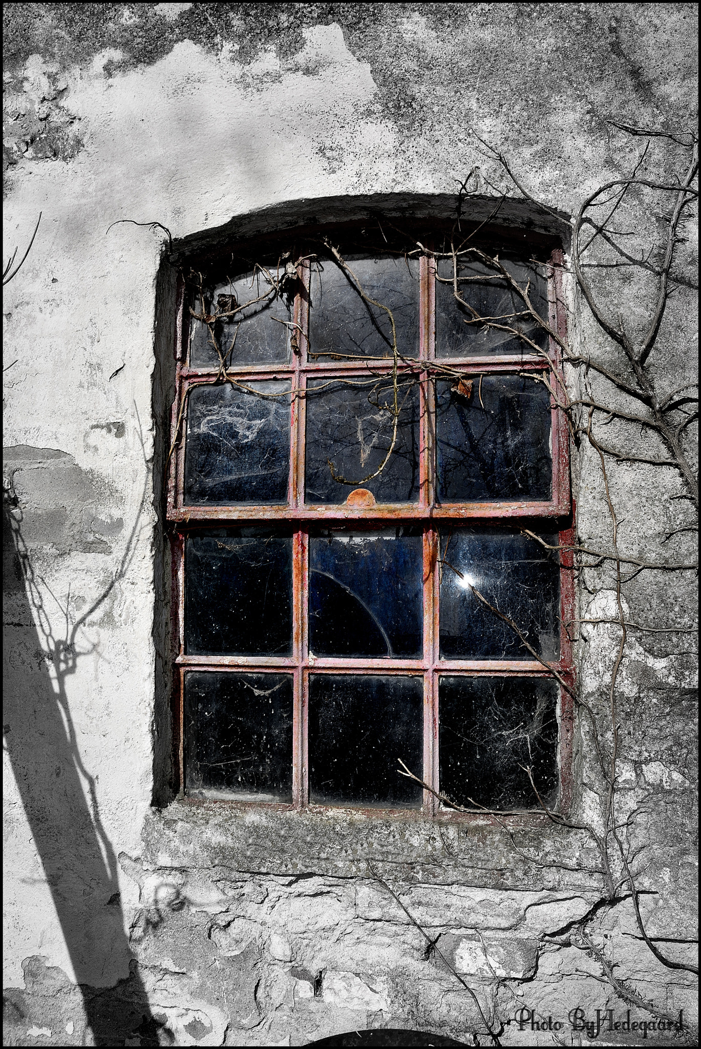 Nikon D5500 sample photo. Old red window photography