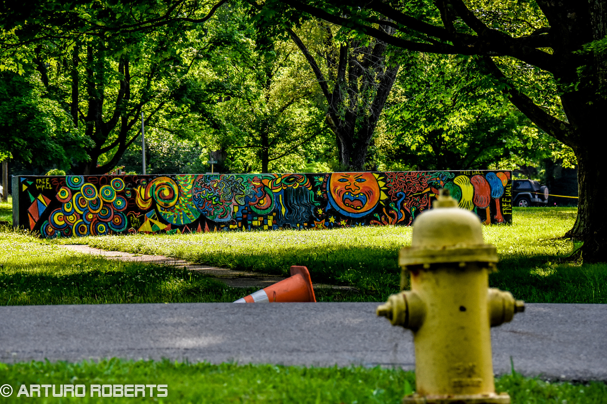 Nikon D5500 sample photo. Children produced this photography