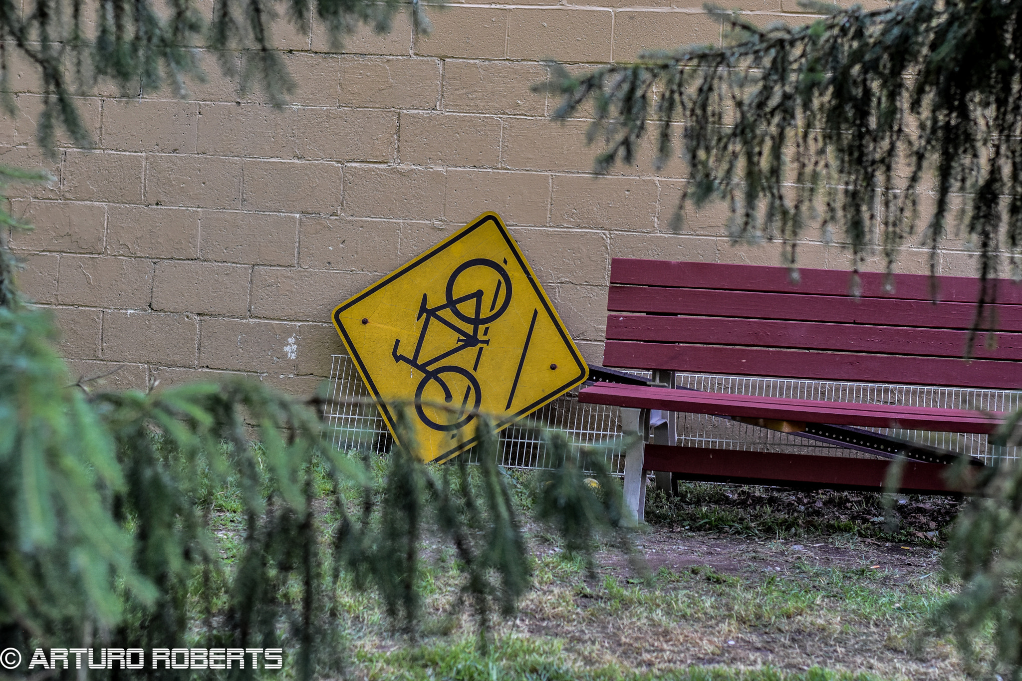 Nikon D5500 + Nikon AF-S Nikkor 50mm F1.8G sample photo. Discarded photography