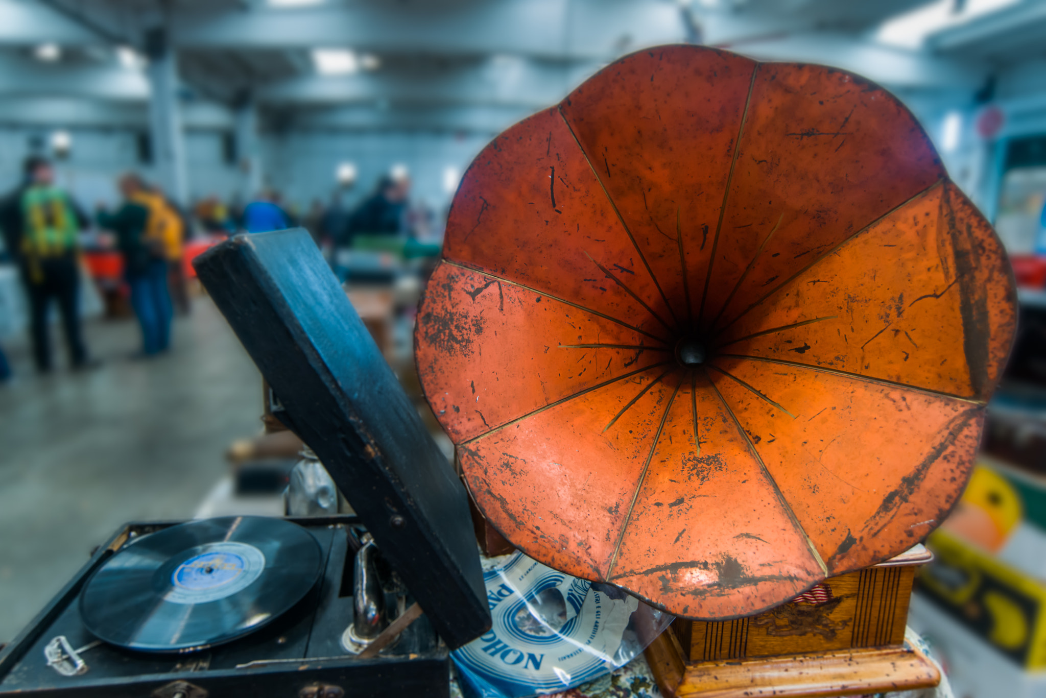 Nikon D800 sample photo. Master's voice photography