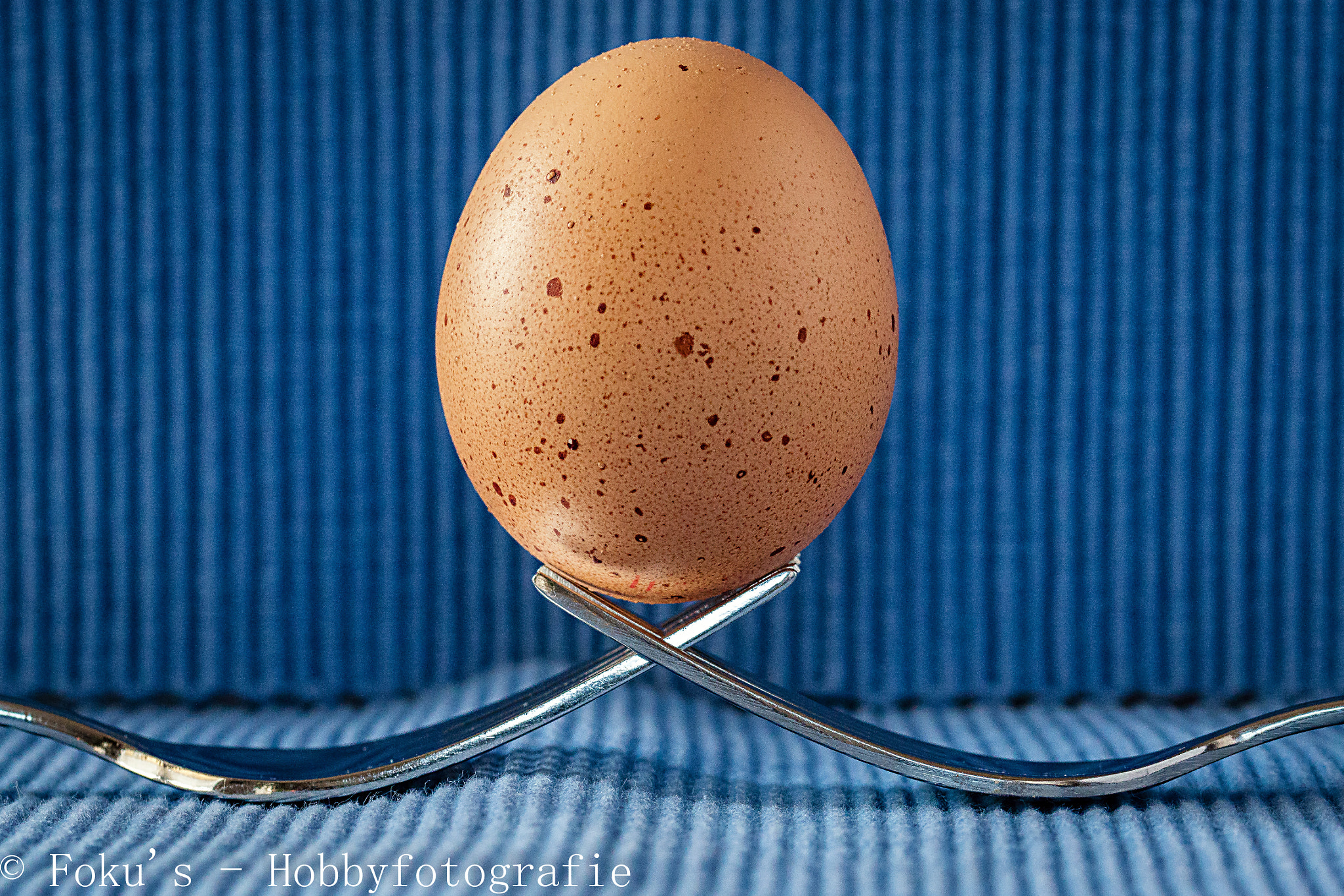 Canon EOS 70D sample photo. Forked egg photography