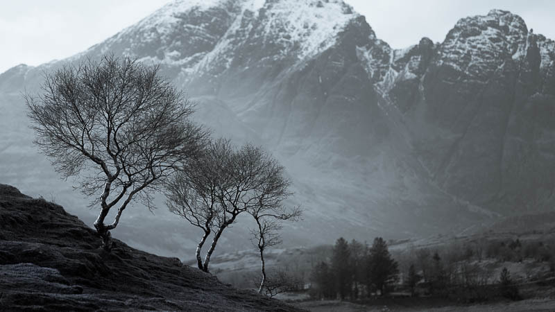 Canon EOS 5DS R sample photo. Trees on the way to elgol photography