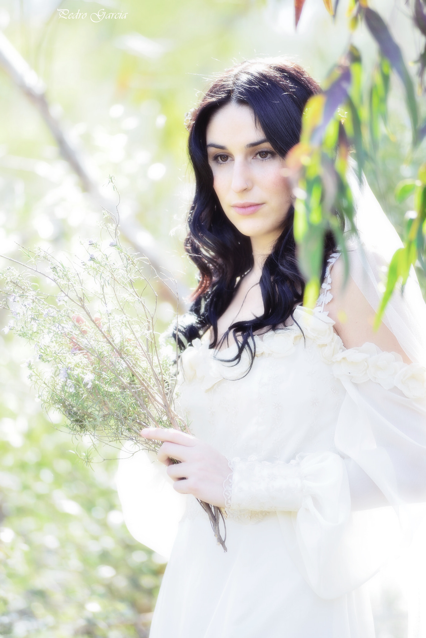 Nikon D800 sample photo. Alba photography