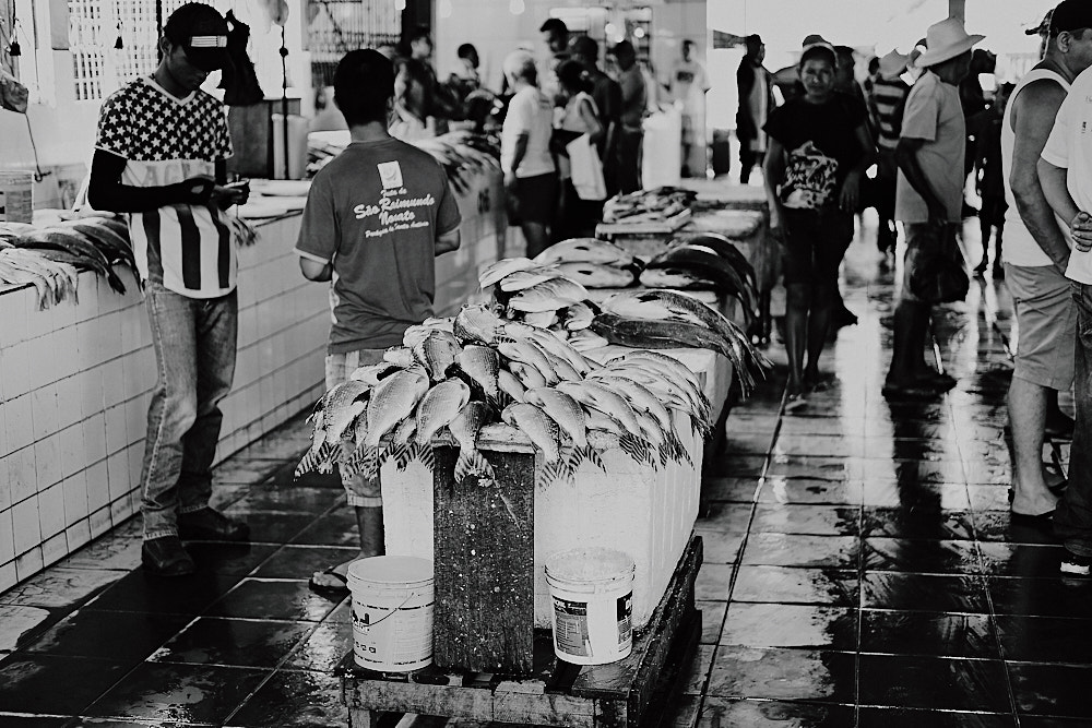 Fujifilm X-E2 + Fujifilm XF 35mm F2 R WR sample photo. Municipal market photography