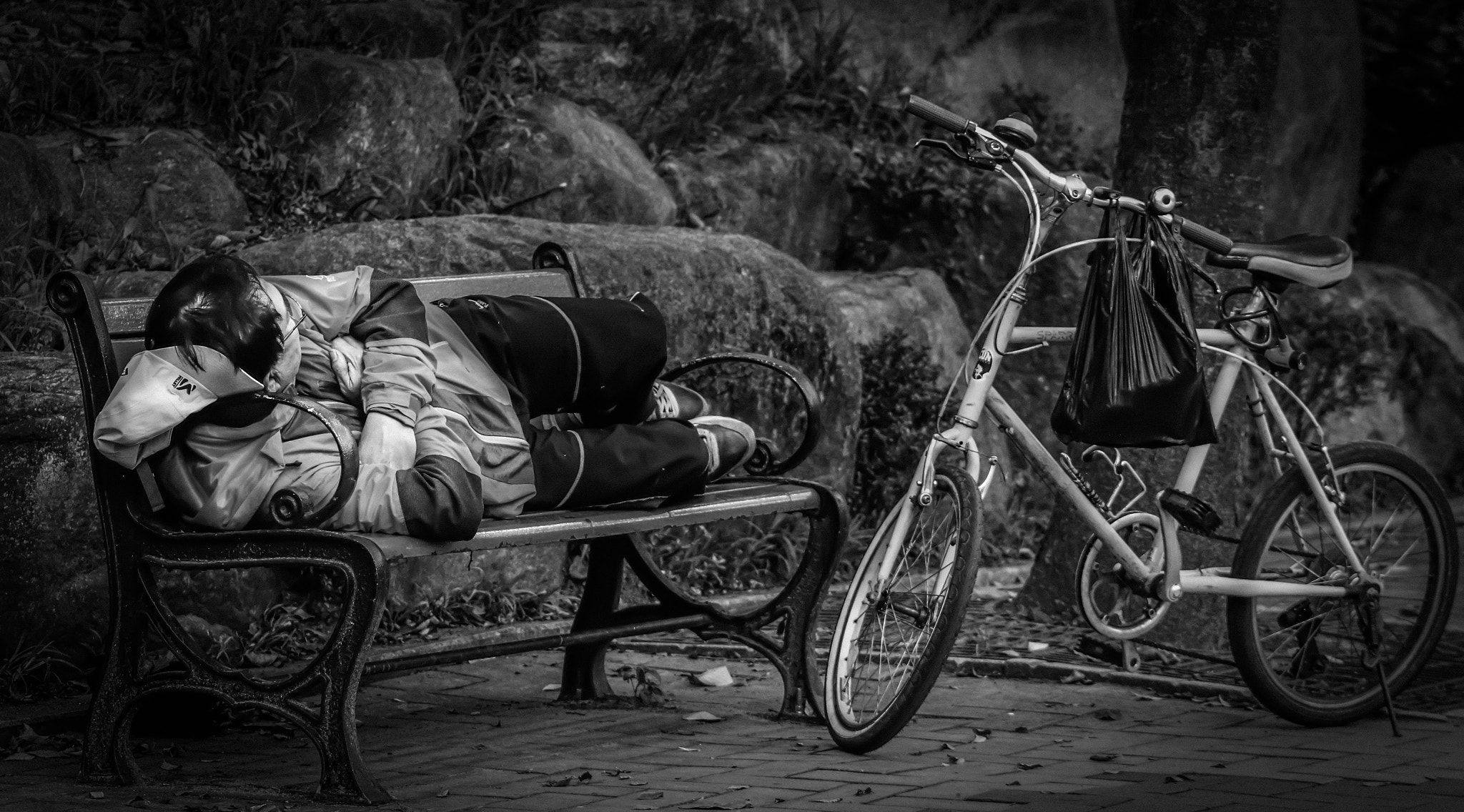 Canon EF 75-300mm f/4-5.6 USM sample photo. A nap in the park photography