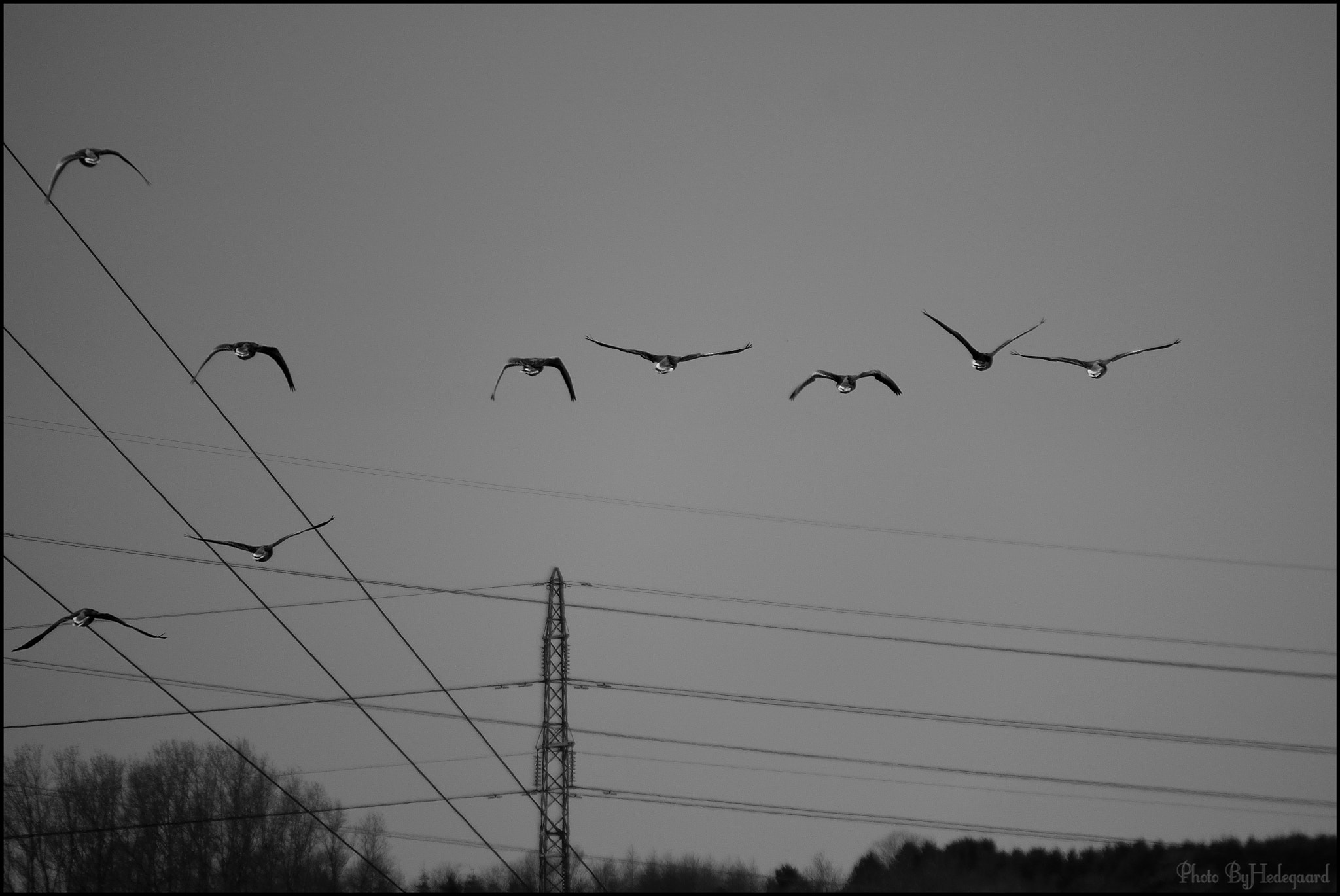 Nikon D5500 sample photo. F/6.3 - 1/1250 sec - iso 100 photography
