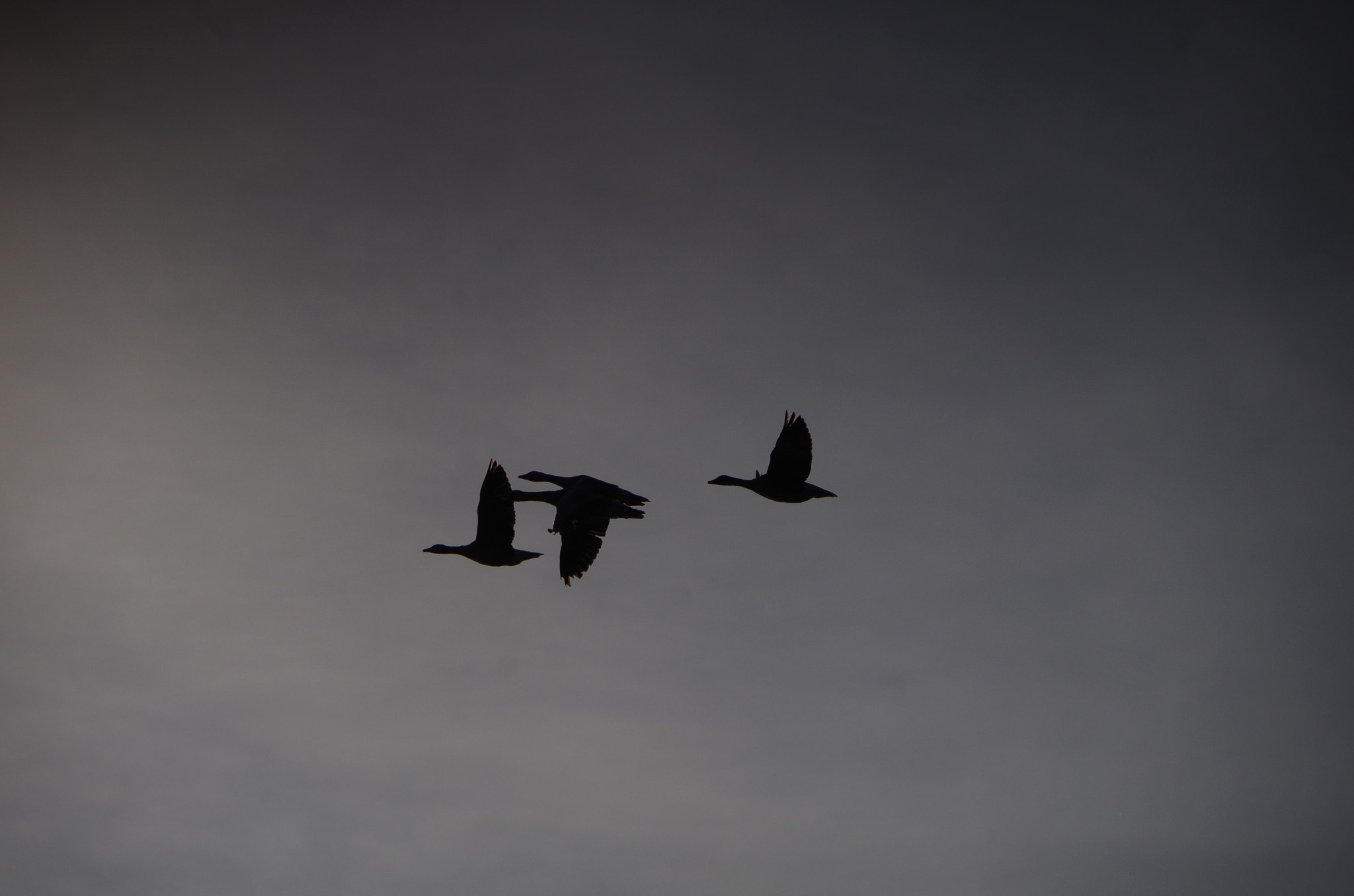 Pentax K-30 sample photo. Free photography
