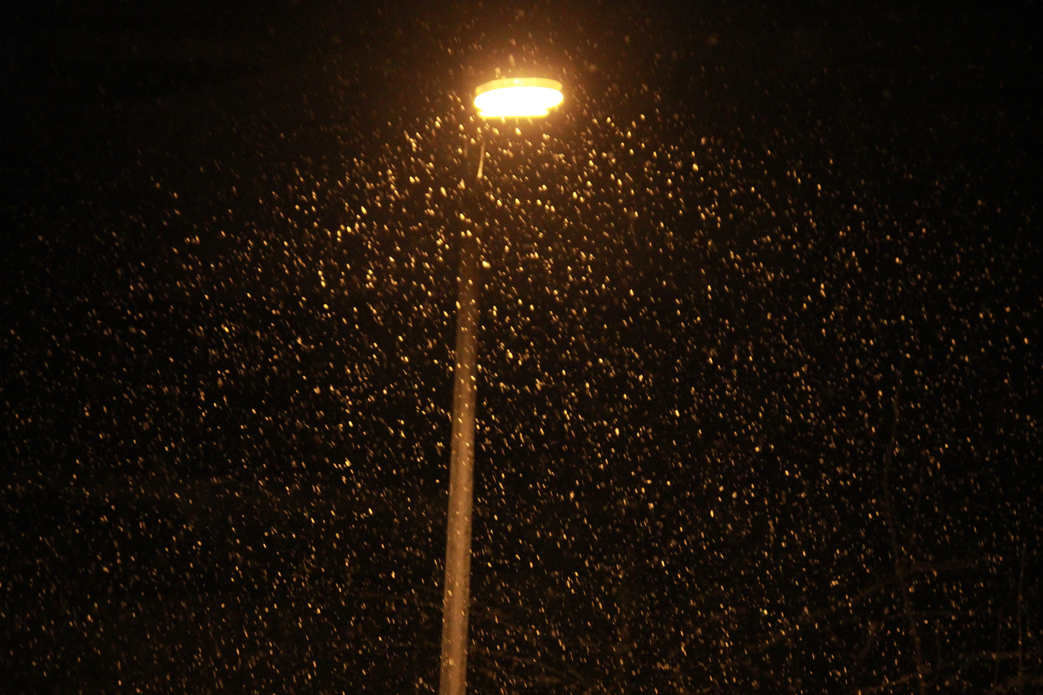 Tamron SP AF 17-50mm F2.8 XR Di II LD Aspherical (IF) sample photo. Snowing at night photography