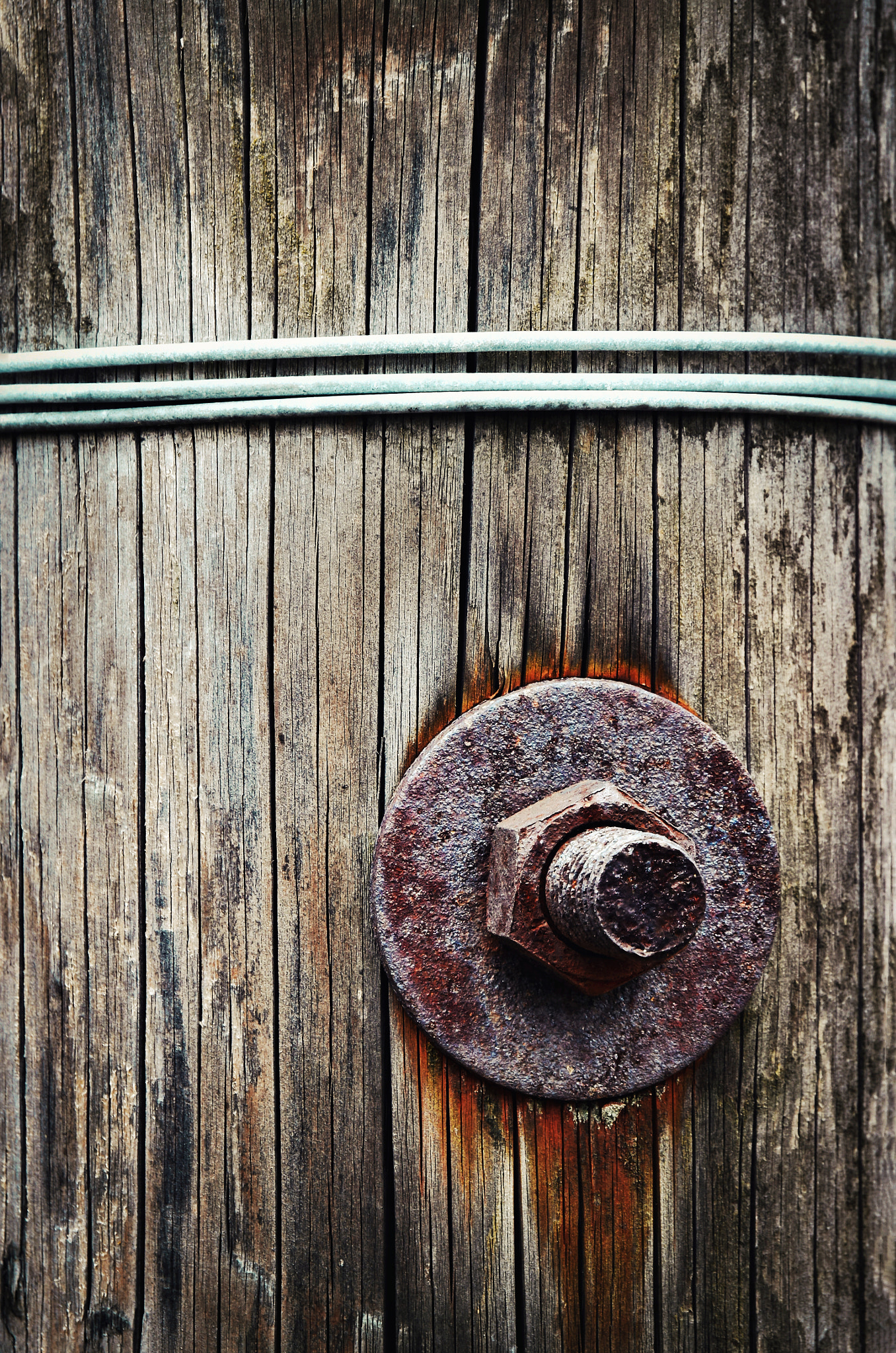 Nikon D5500 sample photo. Screw attached to a wooden beam photography