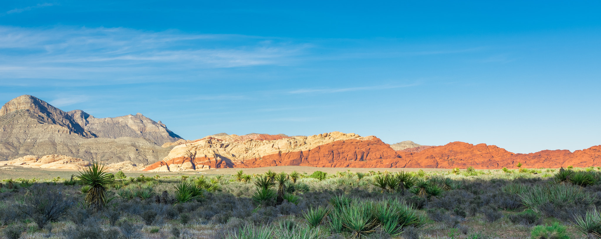 Tamron SP 24-70mm F2.8 Di VC USD sample photo. Red rock canyon photography