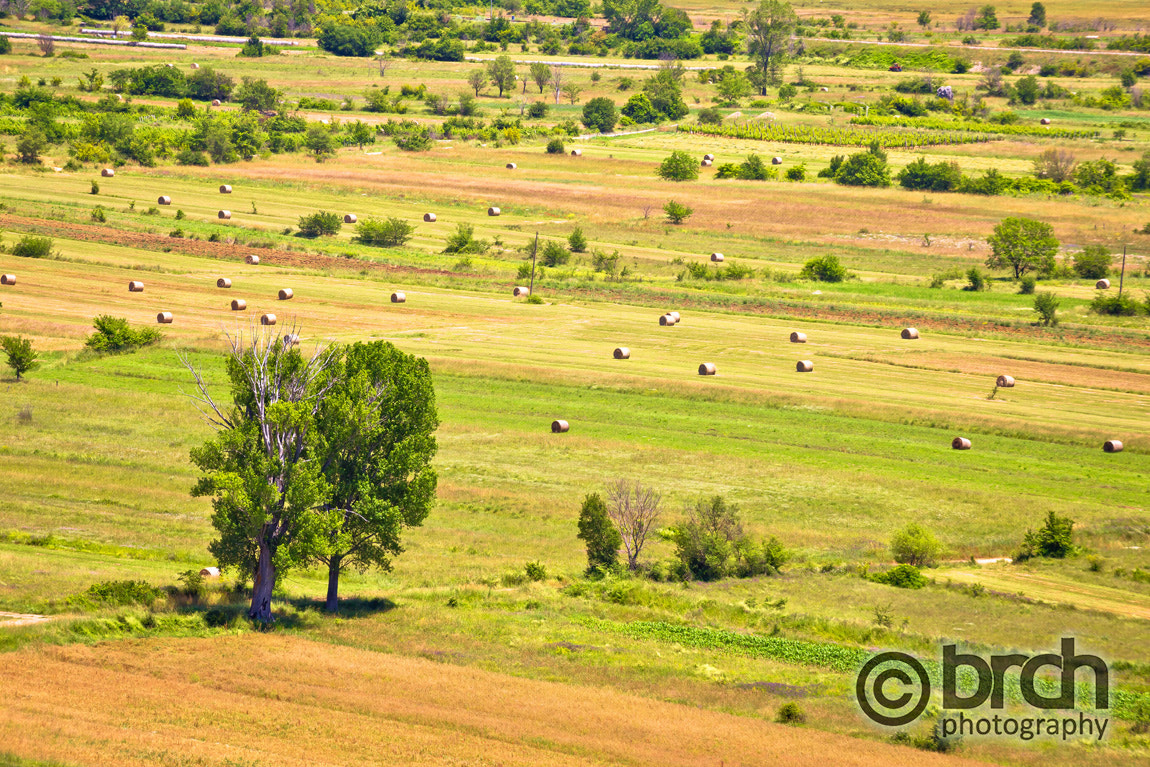 Canon EF 70-300mm F4-5.6L IS USM sample photo. Summer landscape of petrovo polje photography
