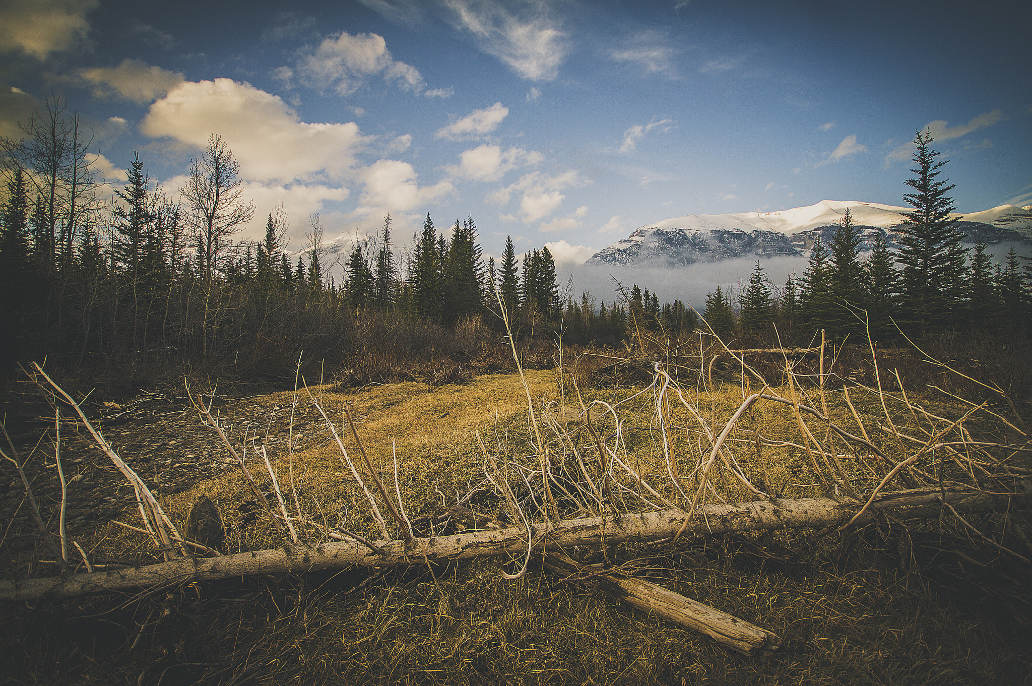Canon EOS 60D + Sigma 10-20mm F4-5.6 EX DC HSM sample photo. Dread land photography