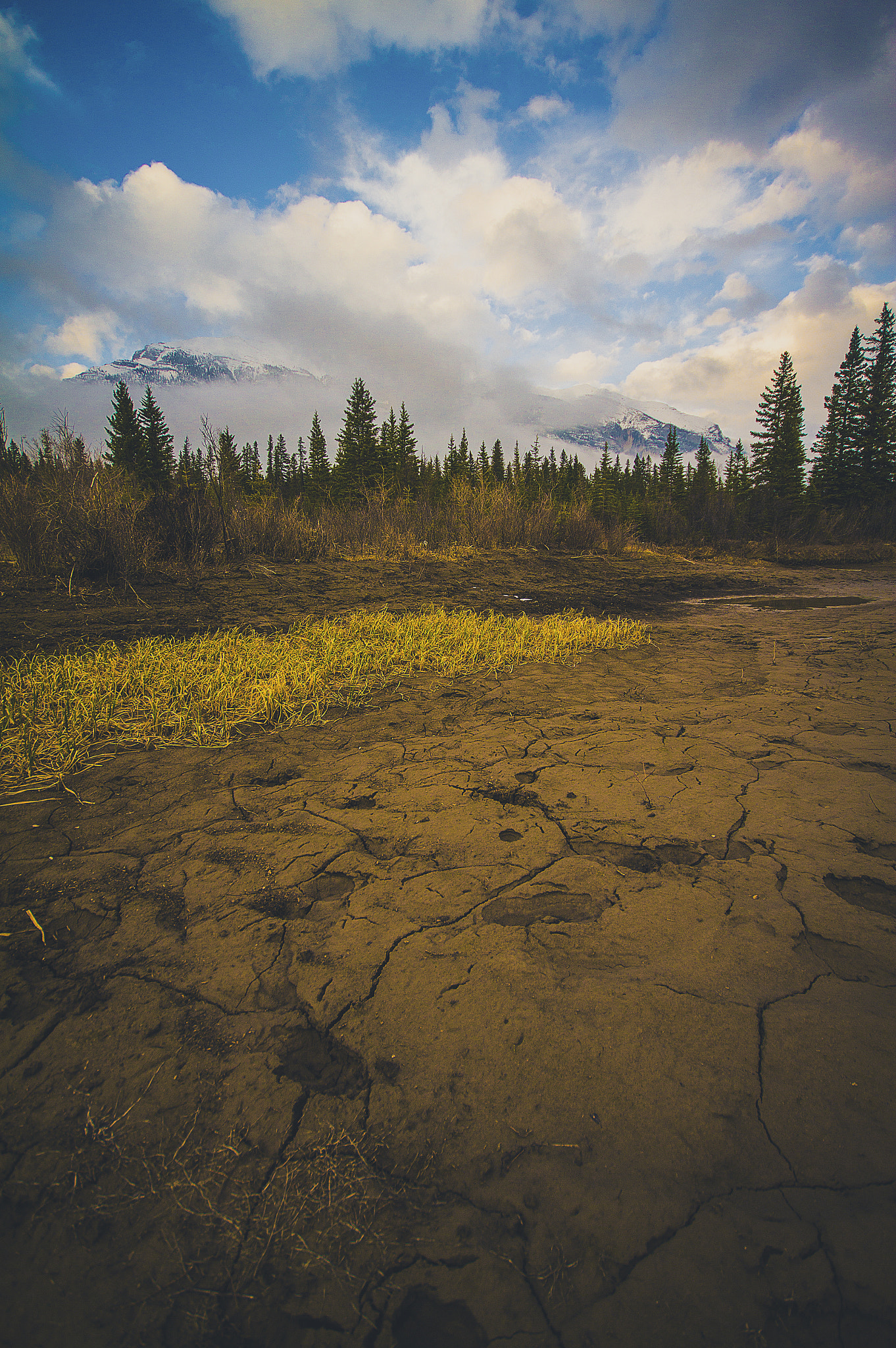 Canon EOS 60D + Sigma 10-20mm F4-5.6 EX DC HSM sample photo. Drought adaptation photography
