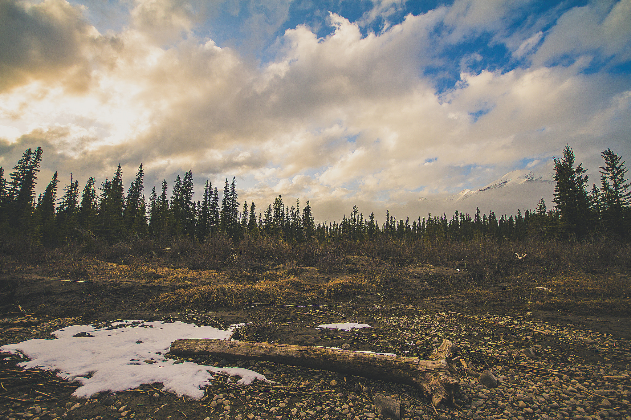 Sigma 10-20mm F4-5.6 EX DC HSM sample photo. Wildlands photography