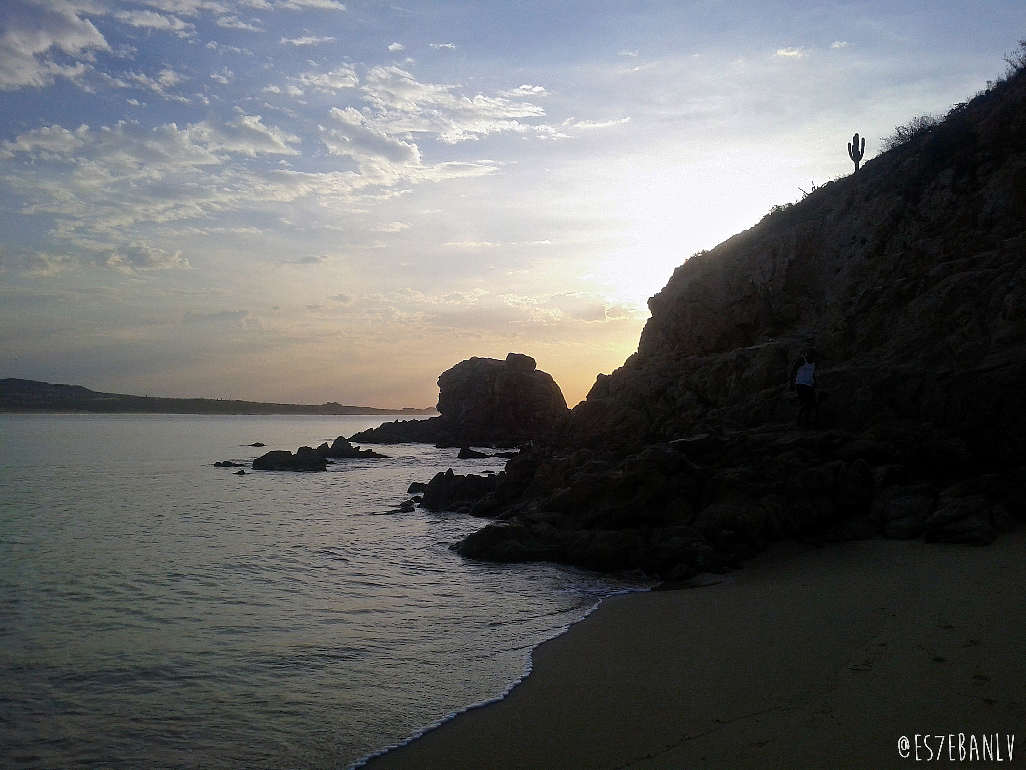 Google Nexus S sample photo. Cactus photography