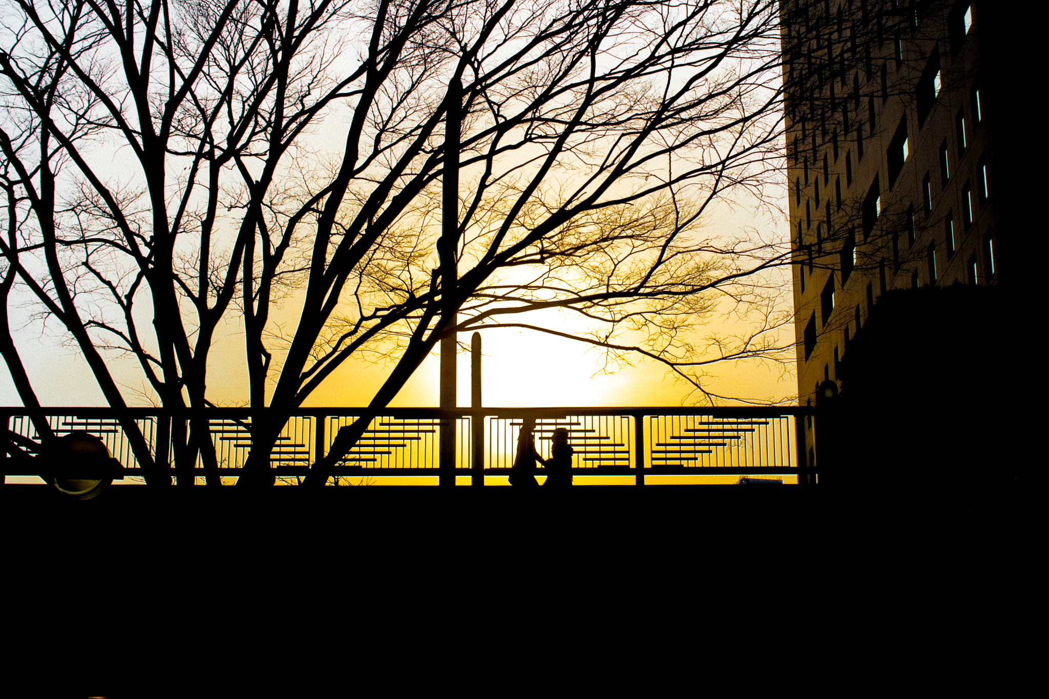 Sigma 30mm F1.4 EX DC HSM sample photo. 夕日 photography