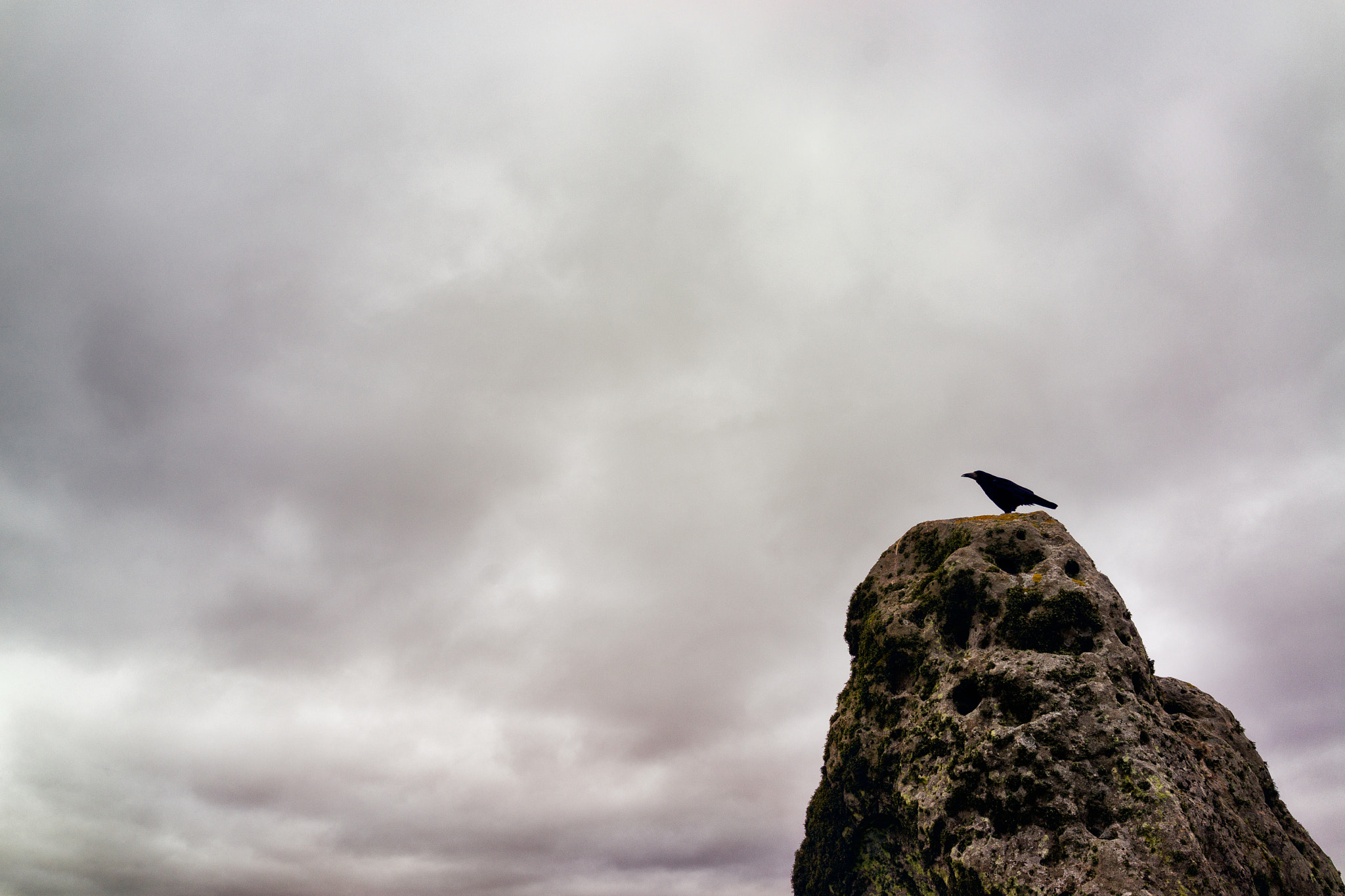 Sony Cyber-shot DSC-RX1 + 35mm F2.0 sample photo. Keeper of stonehenge photography