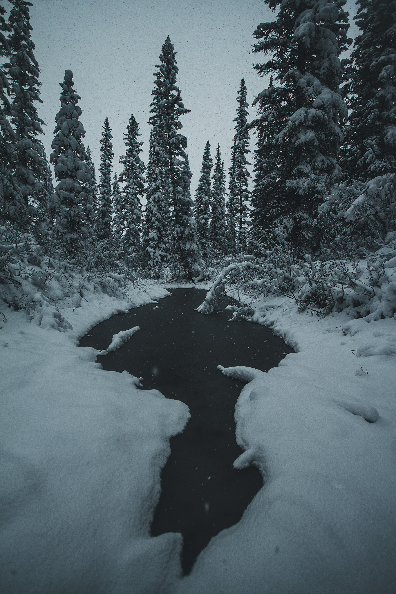 Canon EOS 60D + Sigma 10-20mm F4-5.6 EX DC HSM sample photo. The sources of black winter photography