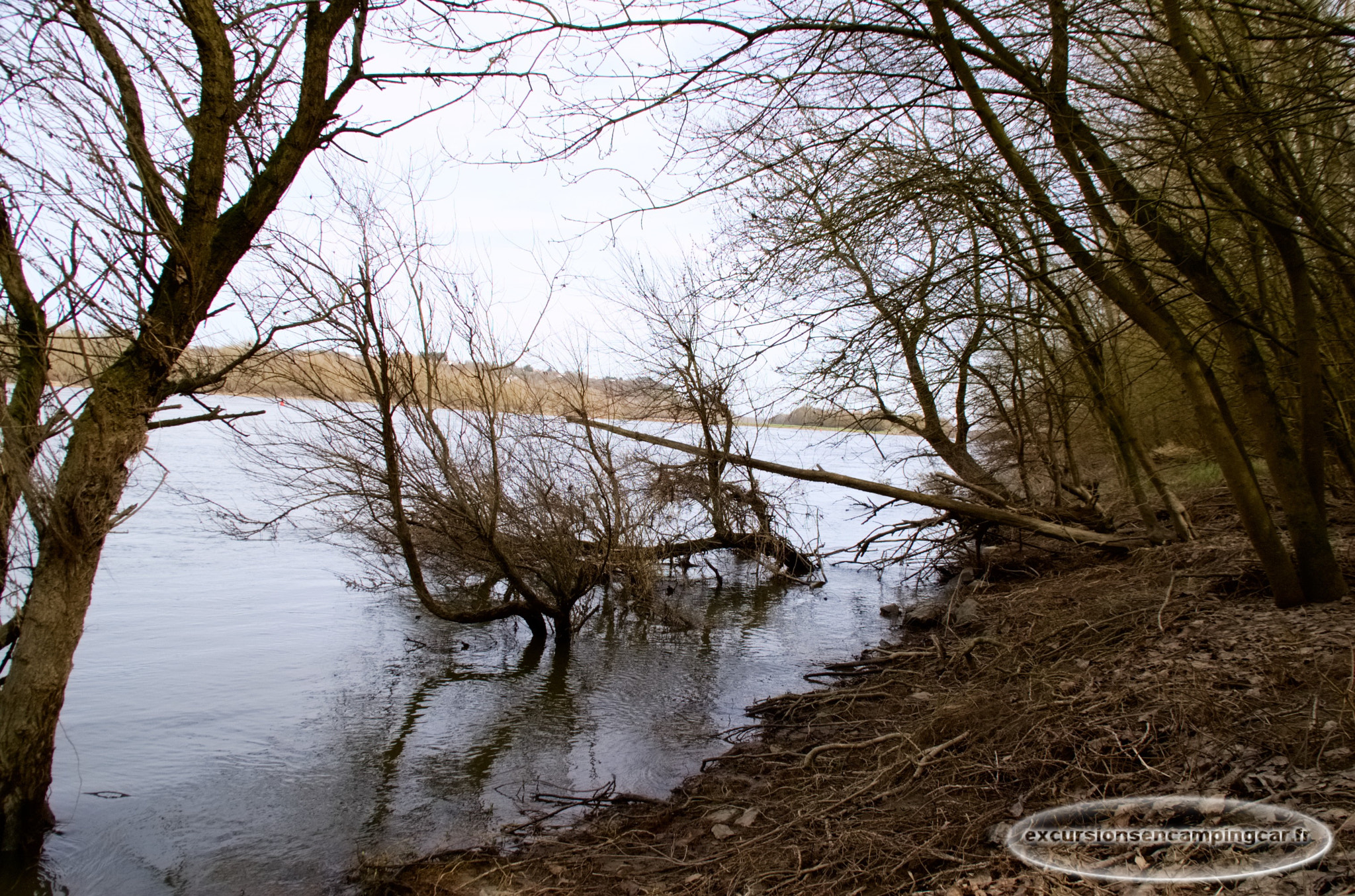 Nikon D40 sample photo. Bord de loire à champtoceaux photography