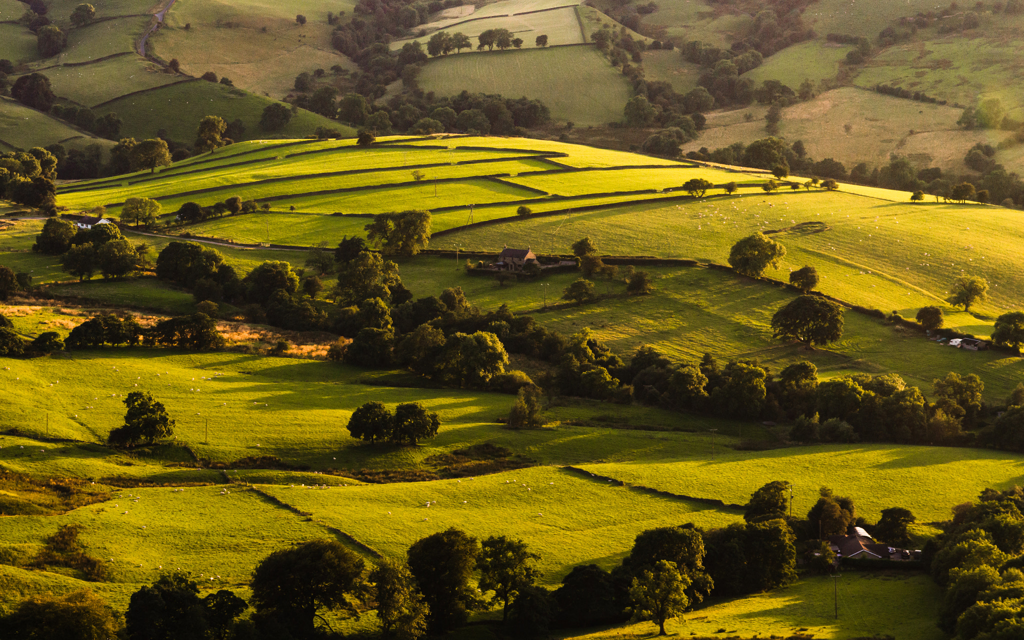 Nikon D3200 sample photo. Green, green hills. photography