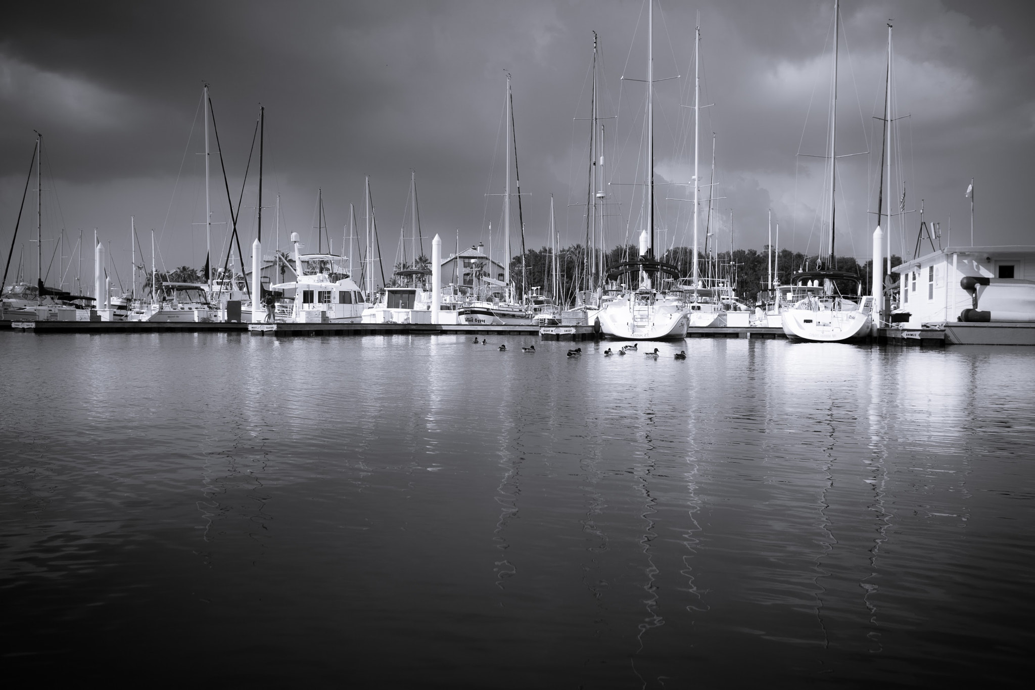 Sony a6000 + Sigma 19mm F2.8 EX DN sample photo. Cloudy afternoon photography