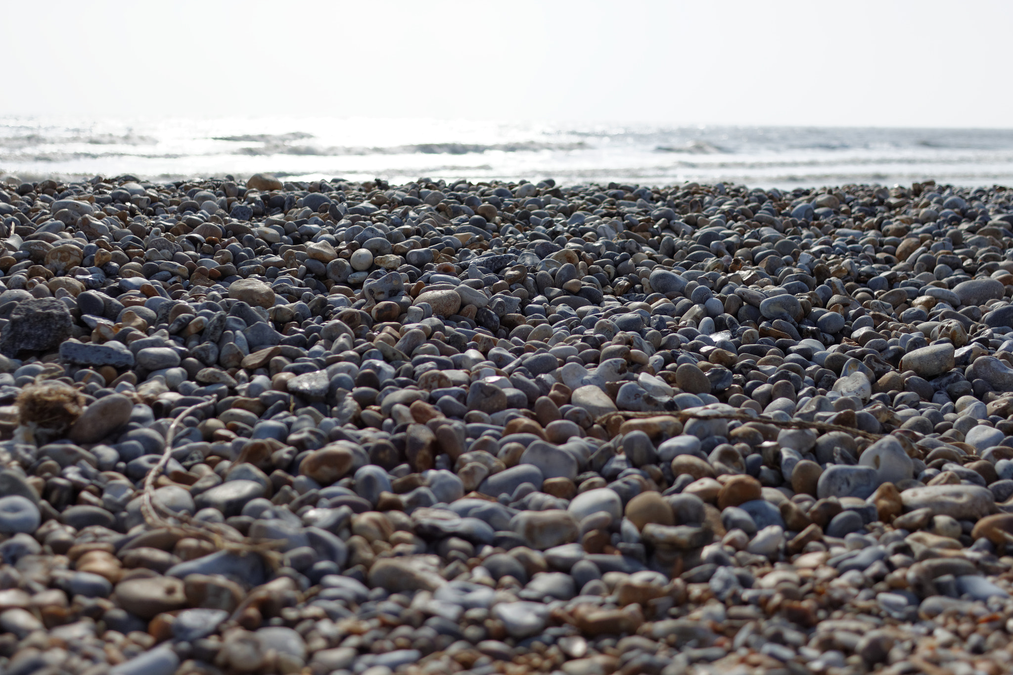 Canon EOS 700D (EOS Rebel T5i / EOS Kiss X7i) + Canon EF 28mm F2.8 sample photo. Just wanna dip my feet. photography