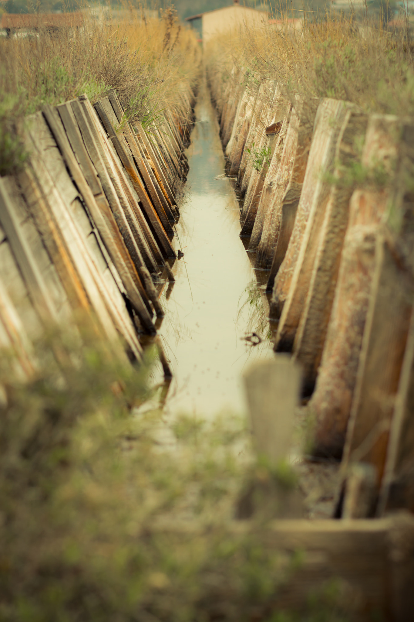 Canon EOS 70D + Canon EF 85mm F1.8 USM sample photo. Drainage photography